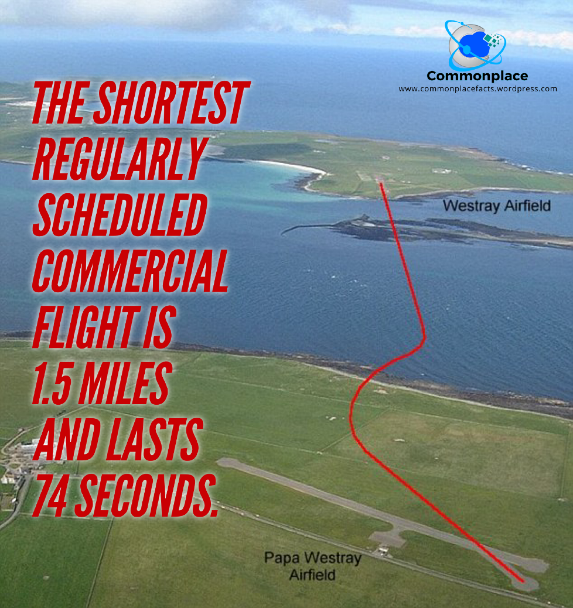 Any In-Flight Movies Available?