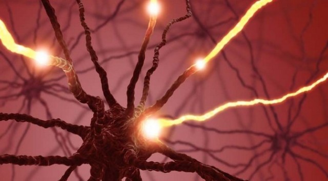 Speedy Neurons … Or Are They?
