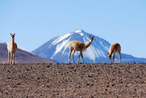 Rain? What’s That?