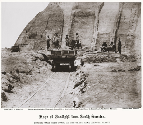 Building an Empire, One Bird-Dropping-Covered Island at a Time