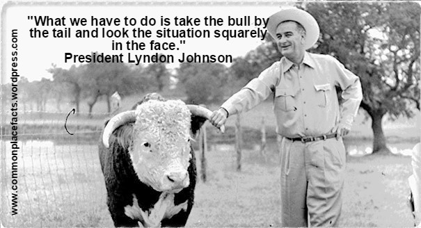 funny quotes Lyndon Johnson take bull by tail look situation in face