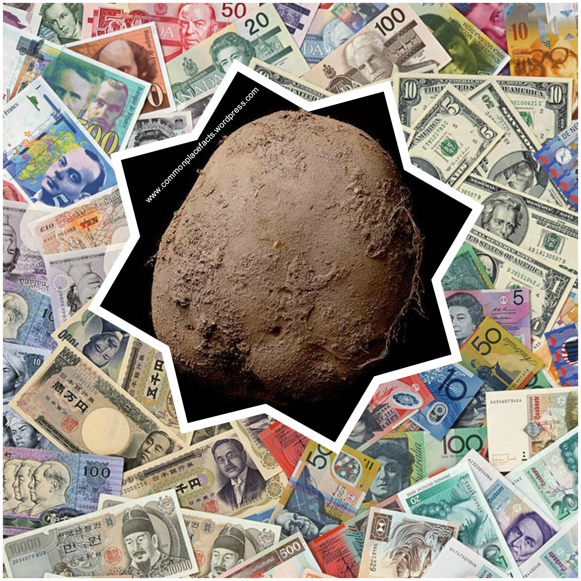 You Can Buy a Lot of Fries for That