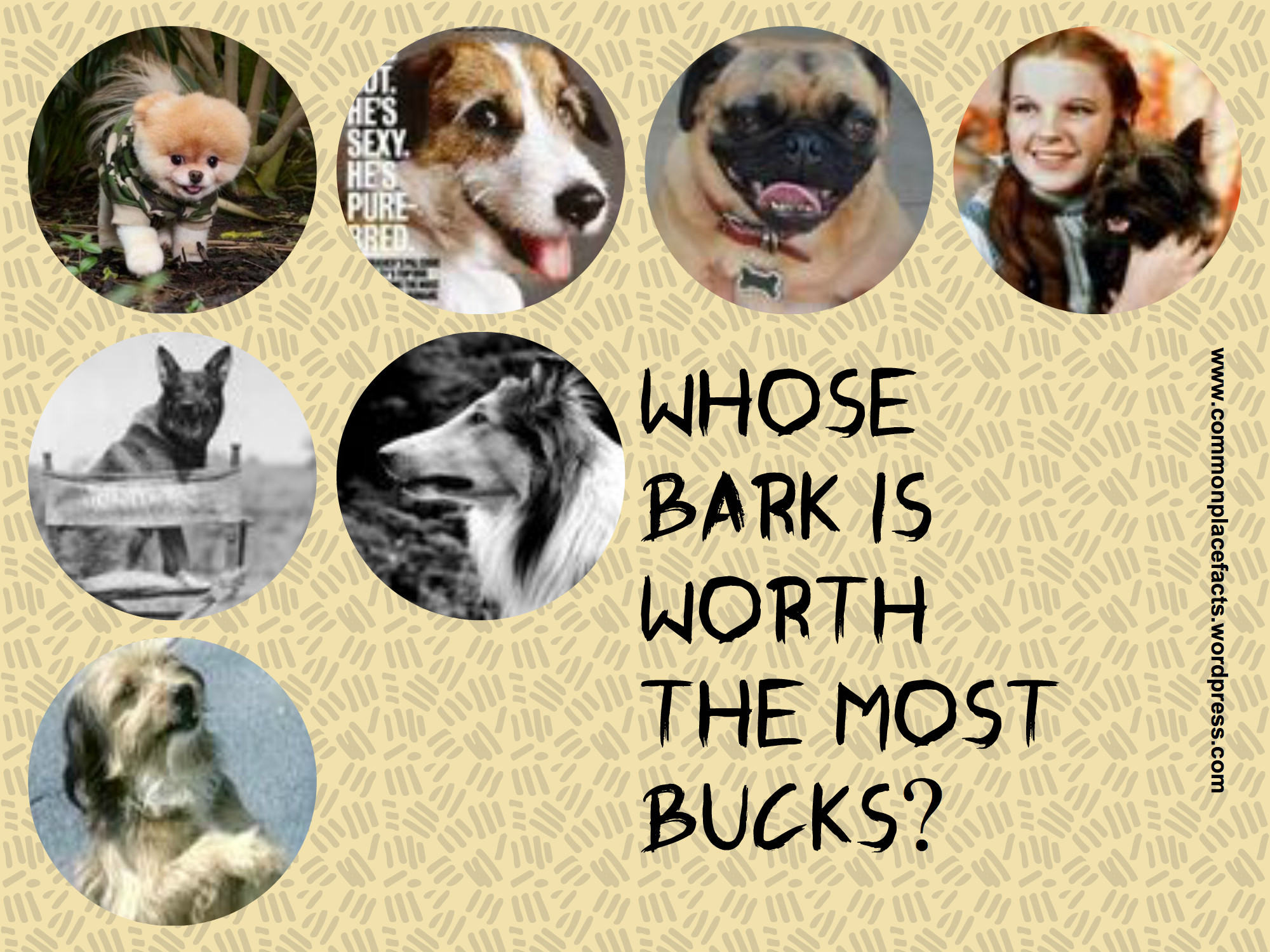 The Highest Paid Dog: Whose Bark is Worth the Most Bucks?