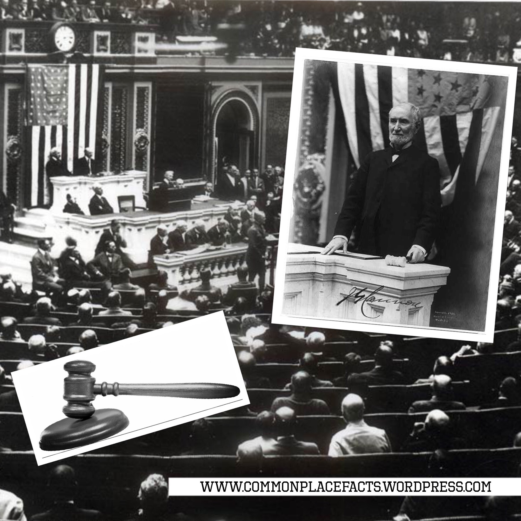 House Rules 2 img 1913