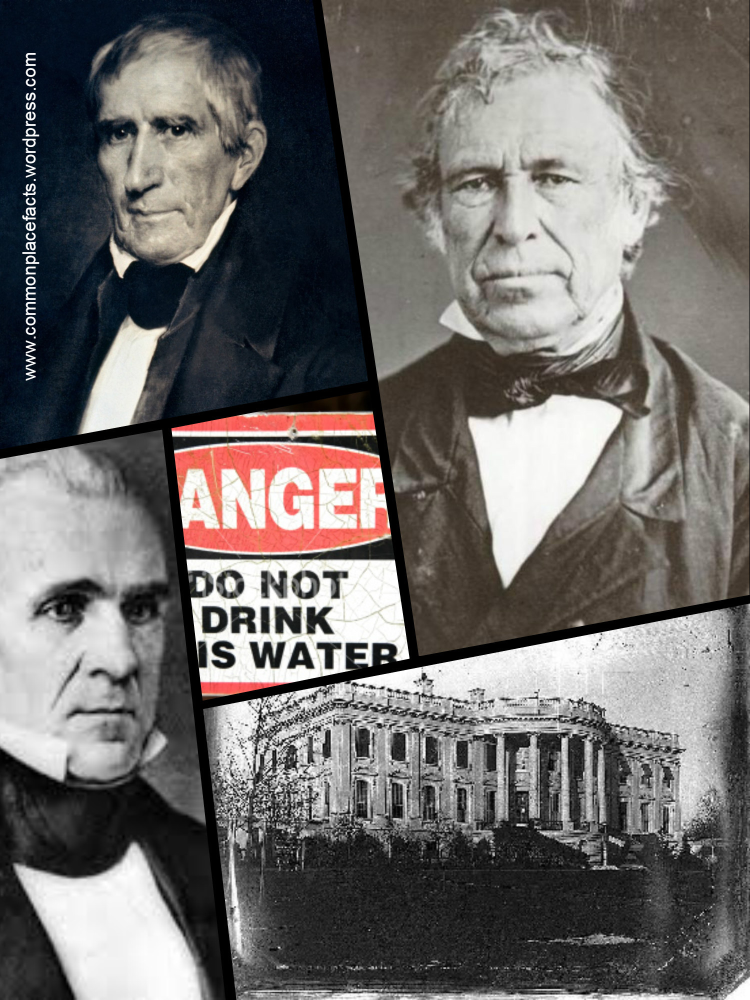 White House contaminated water poisoned Harrison Polk Taylor