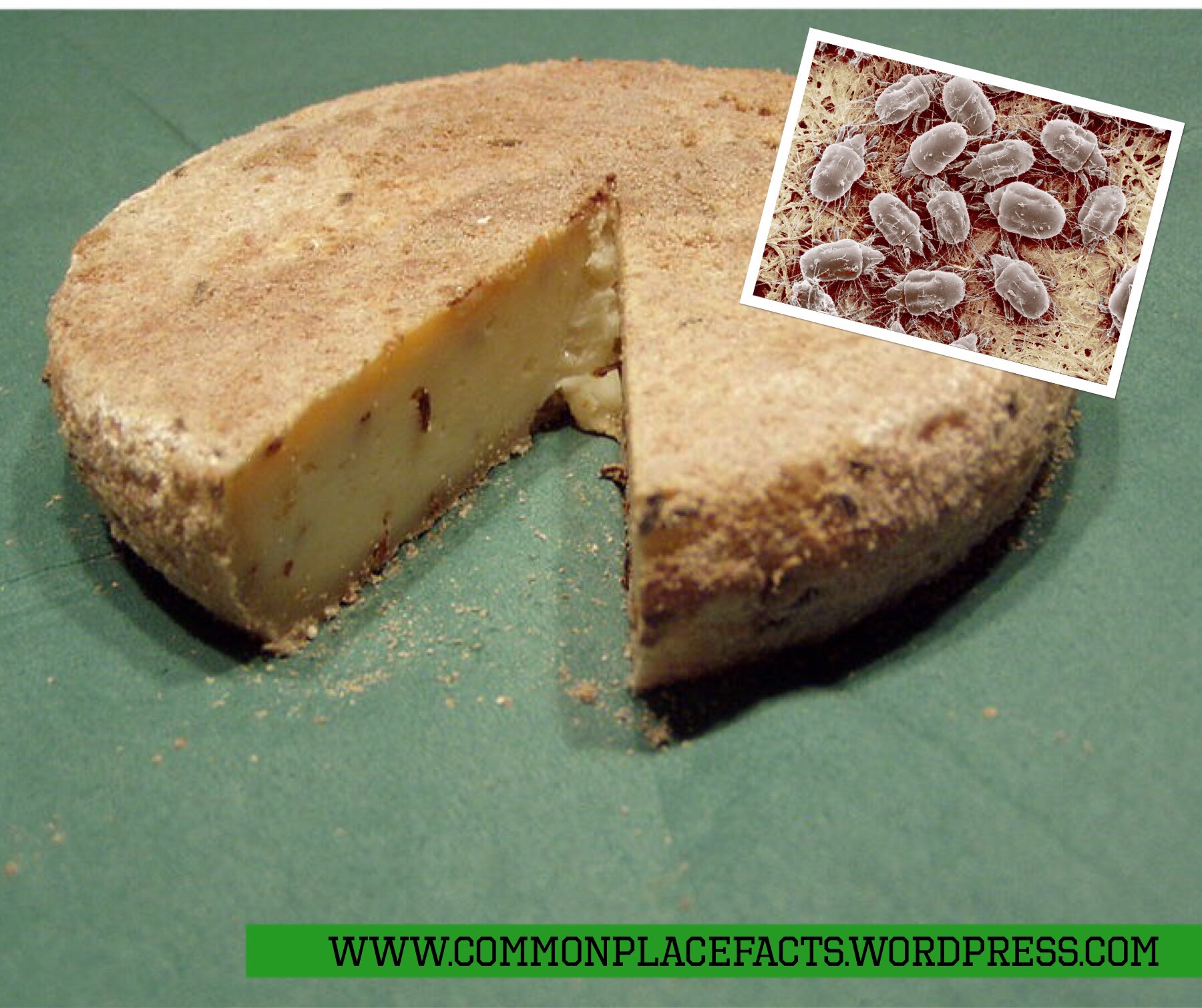 Say “Cheese” — and Smile if You Can