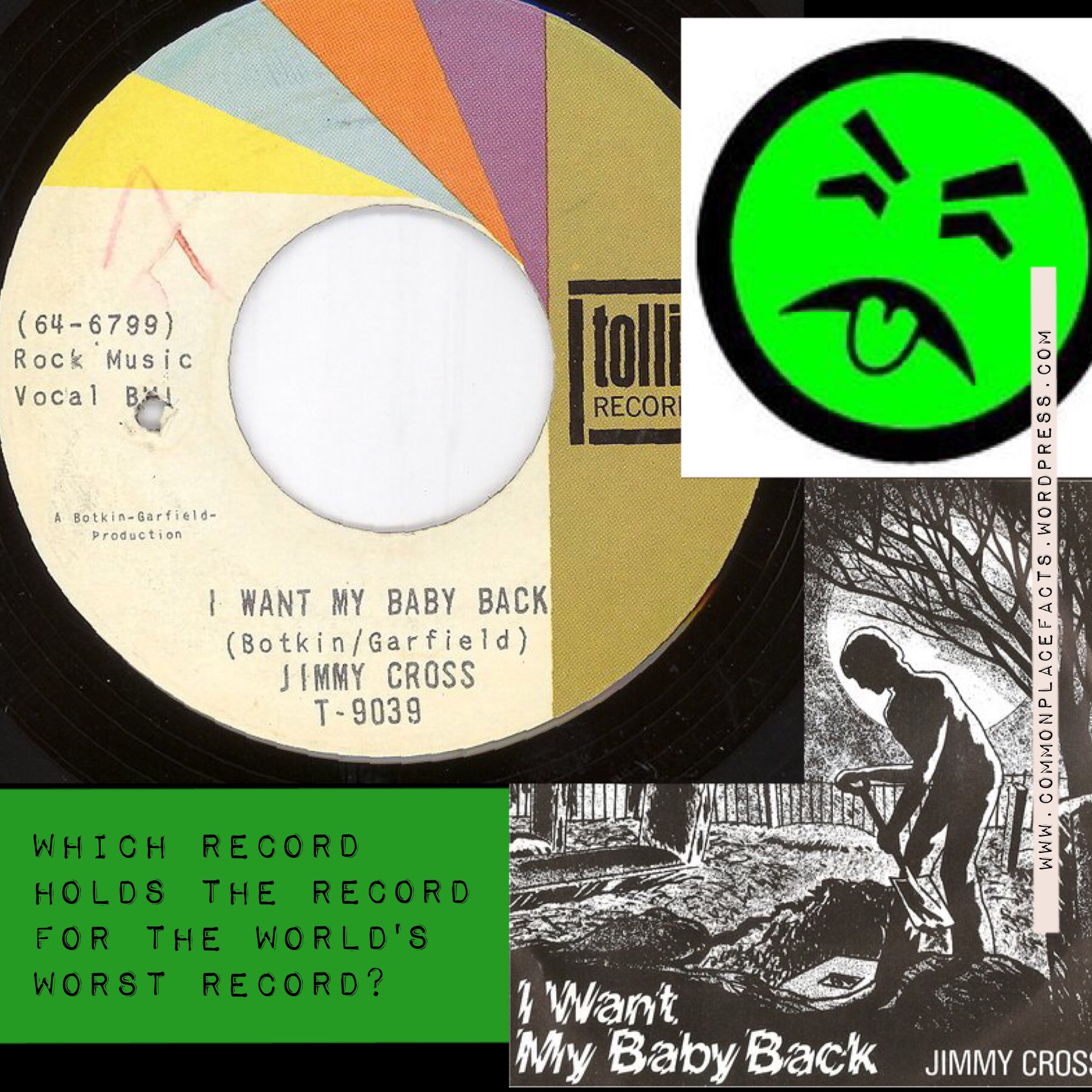 Which Record Holds the Record for the World’s Worst Record?