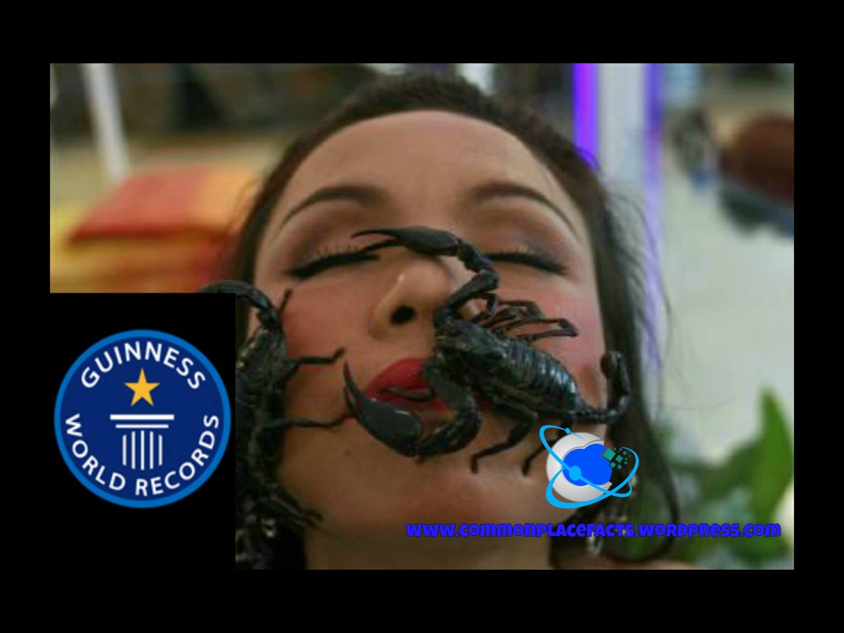 Does Constipation Affect Mating Prospects? Commonplace Fun Facts