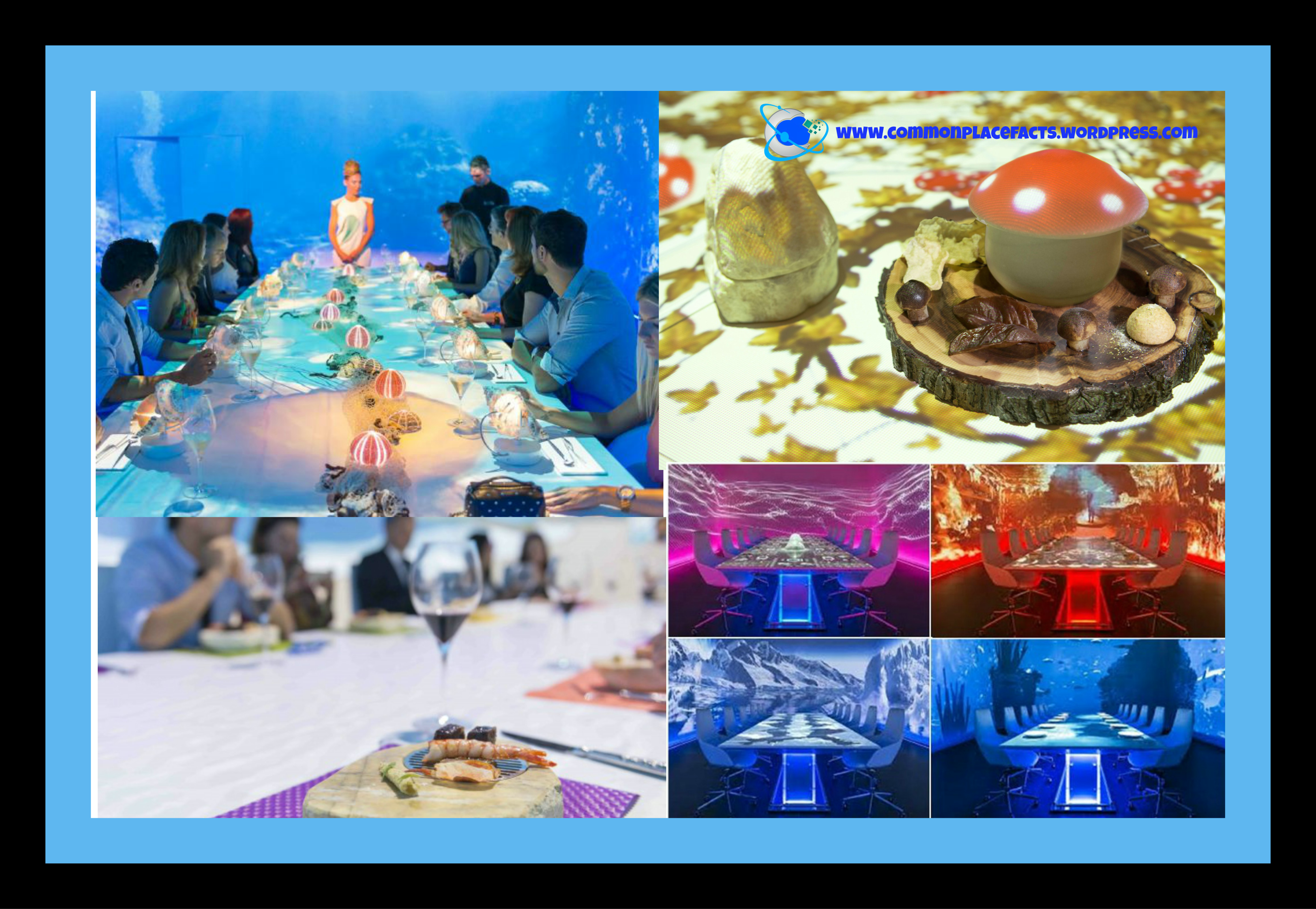 Treat Your Senses — Empty Your Wallet