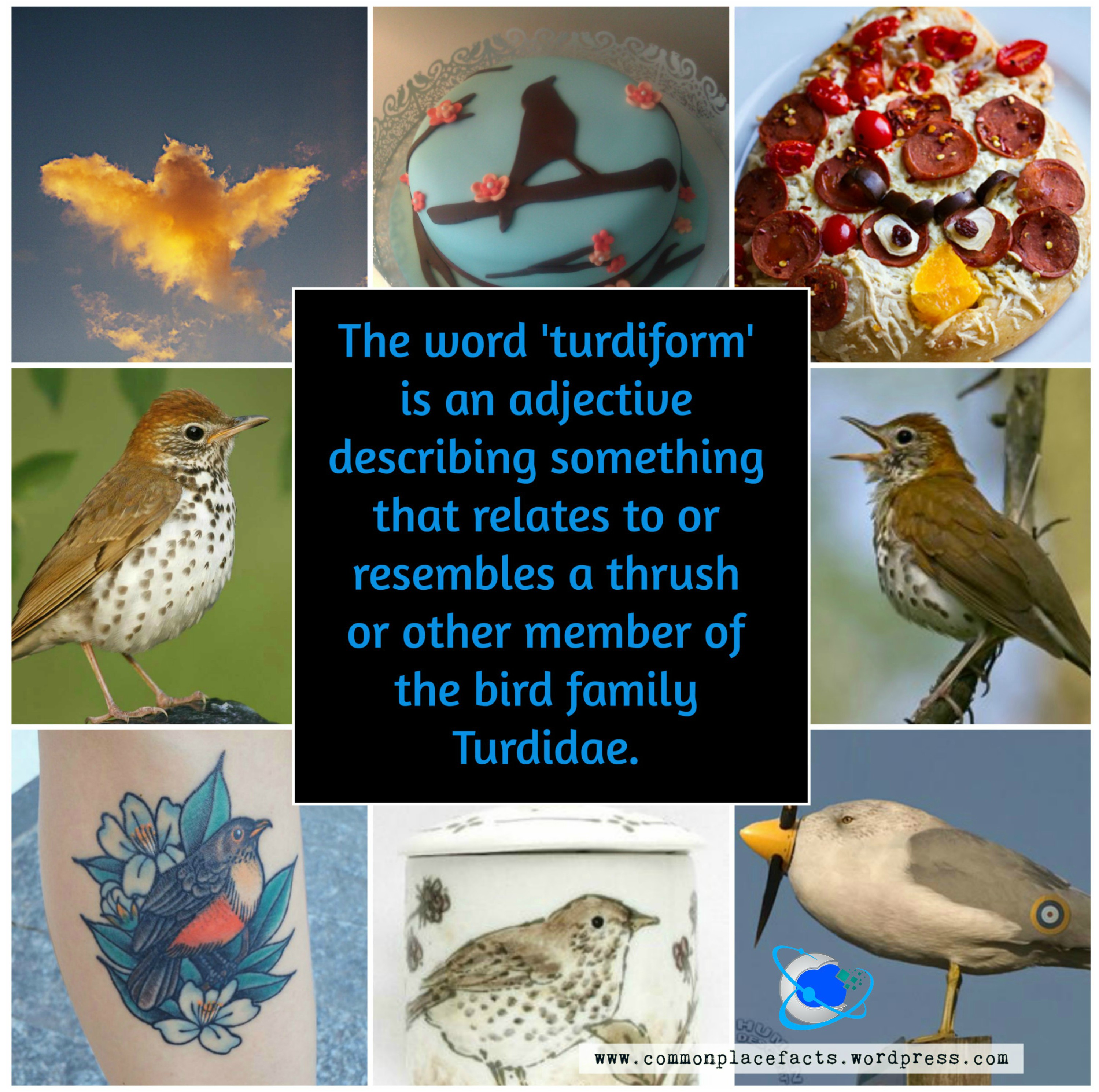 turdiform resembling or relating to thrush