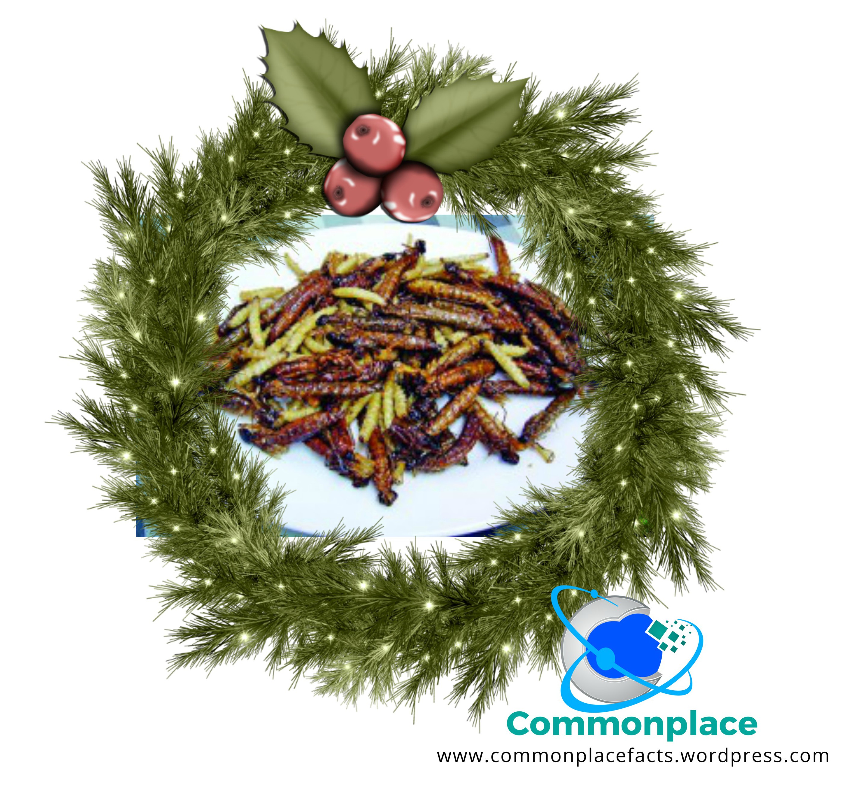 South Africa Christmas food fried caterpillars