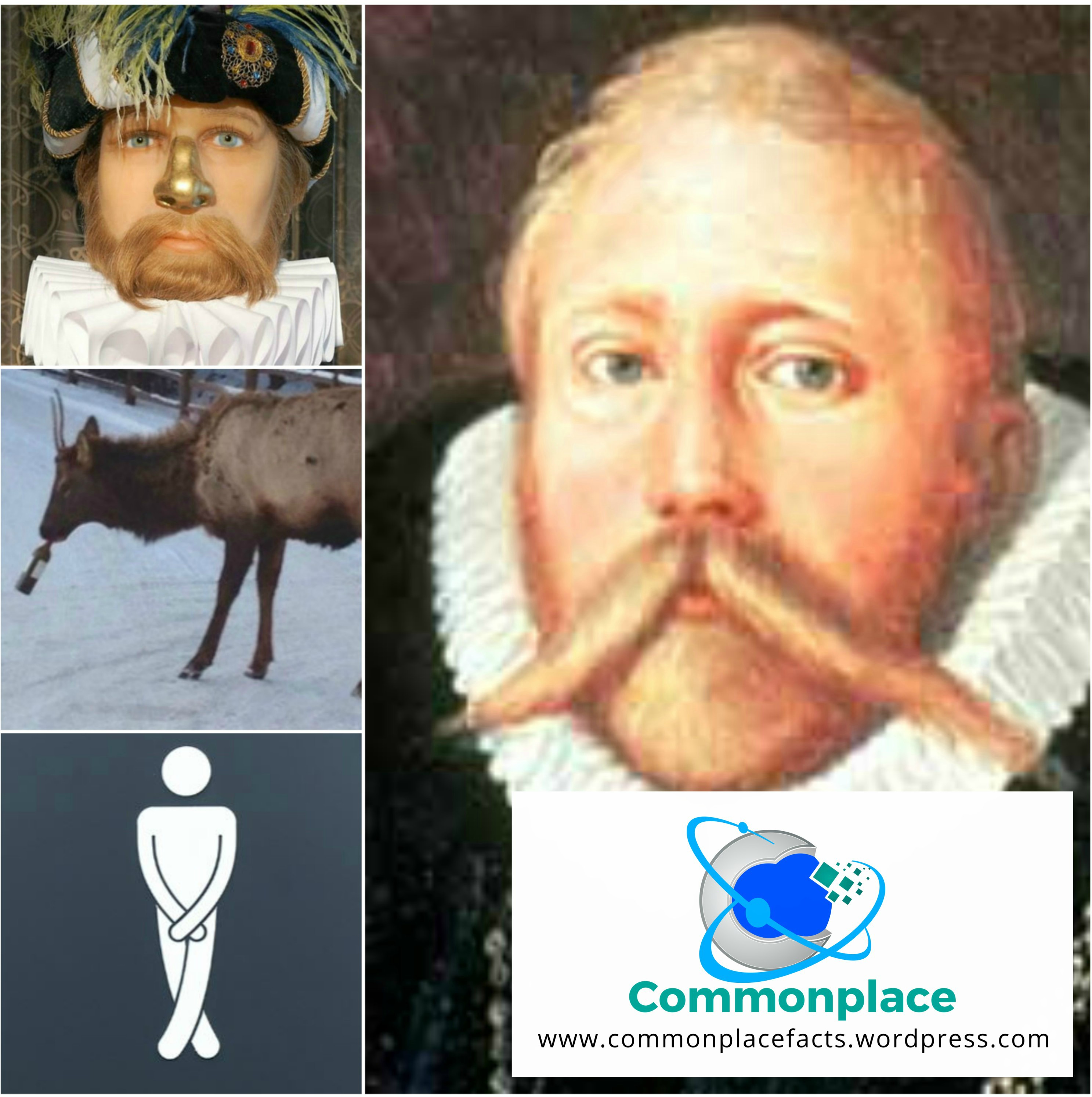 Tycho Brahe fun facts death nose drunk moose elk