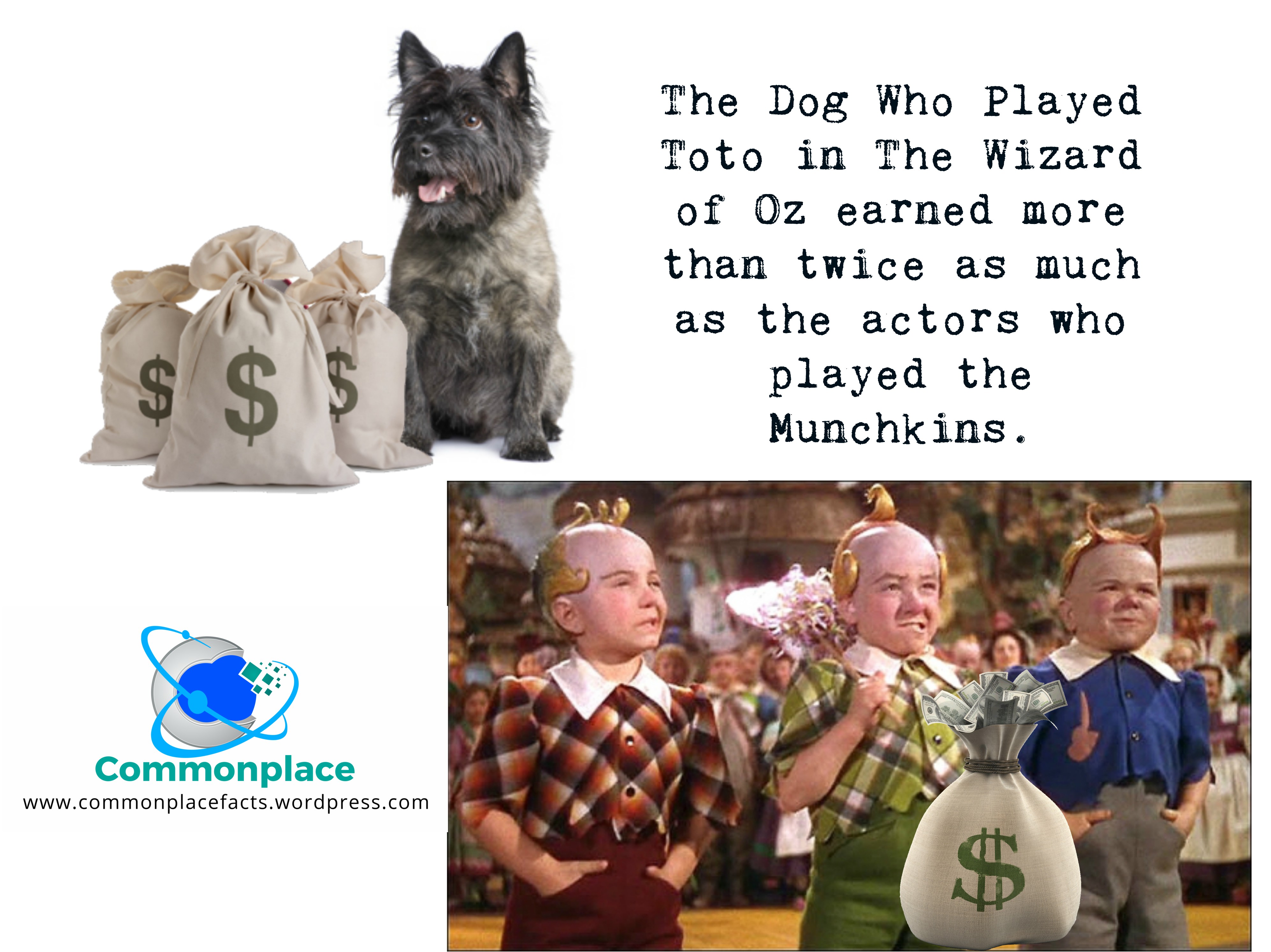 Somewhere Over the Rainbow Dogs Make a Lot of Money