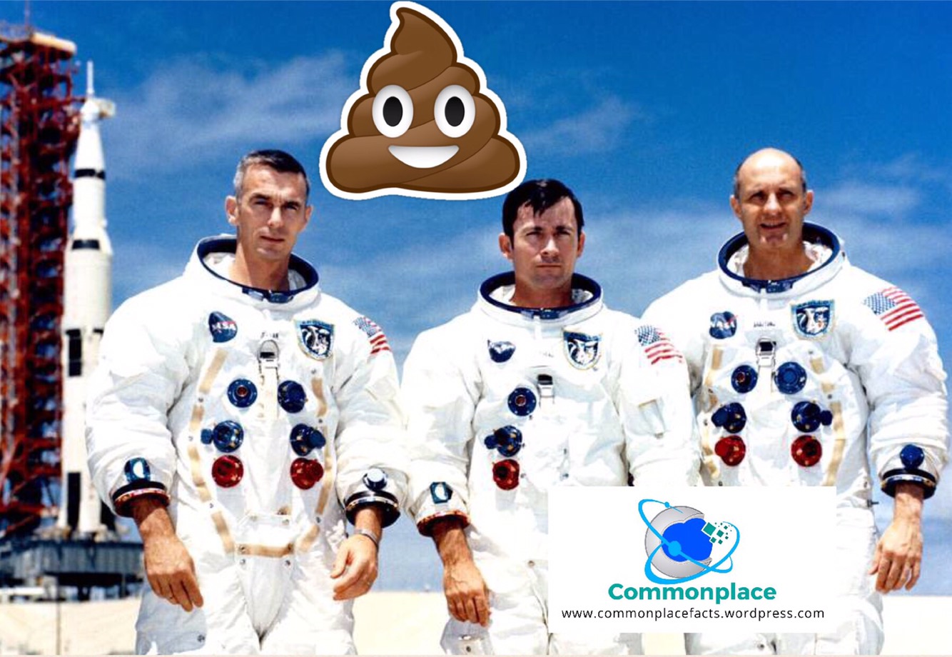 Houston, We Have a Turd