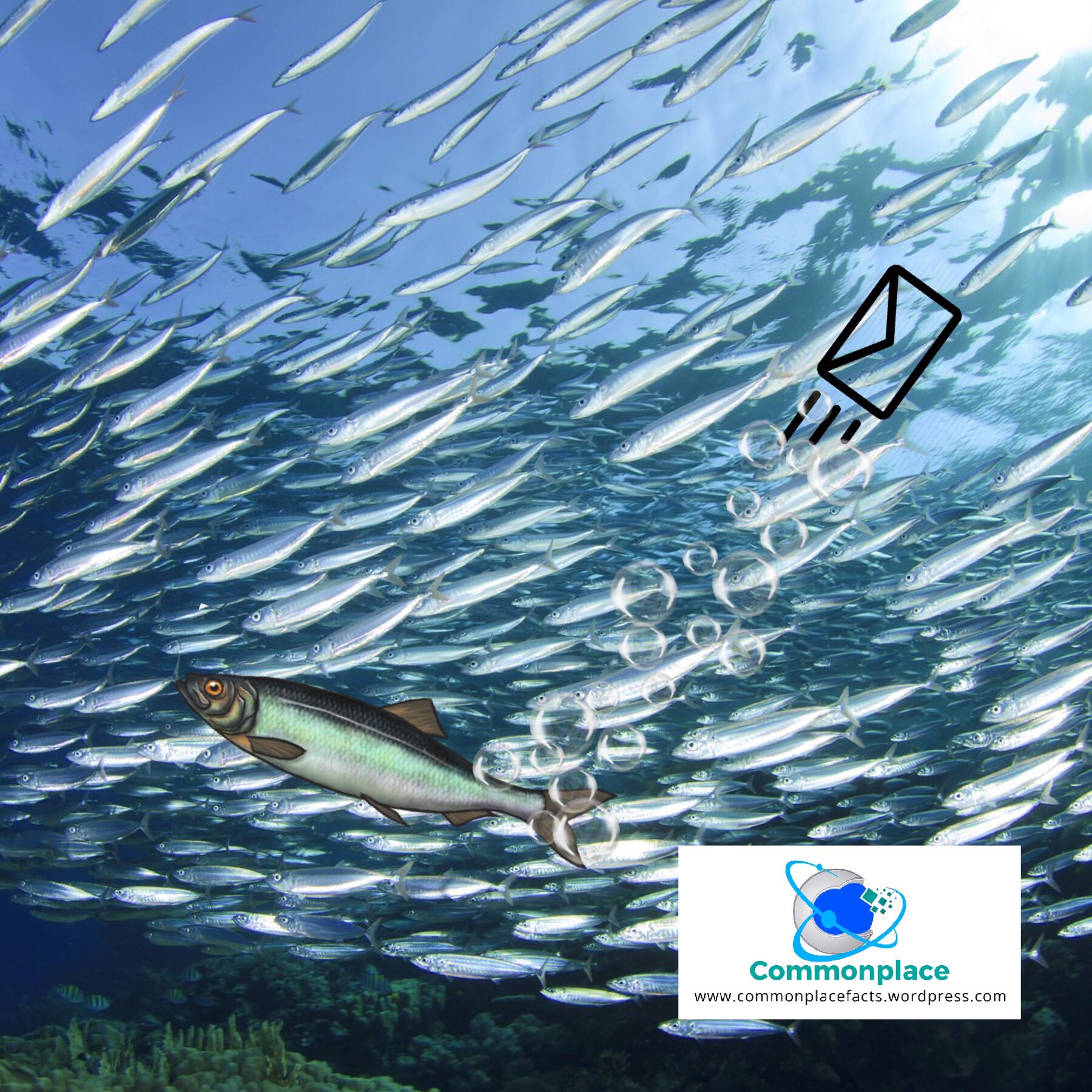 Stinky Communication Sounds Fishy