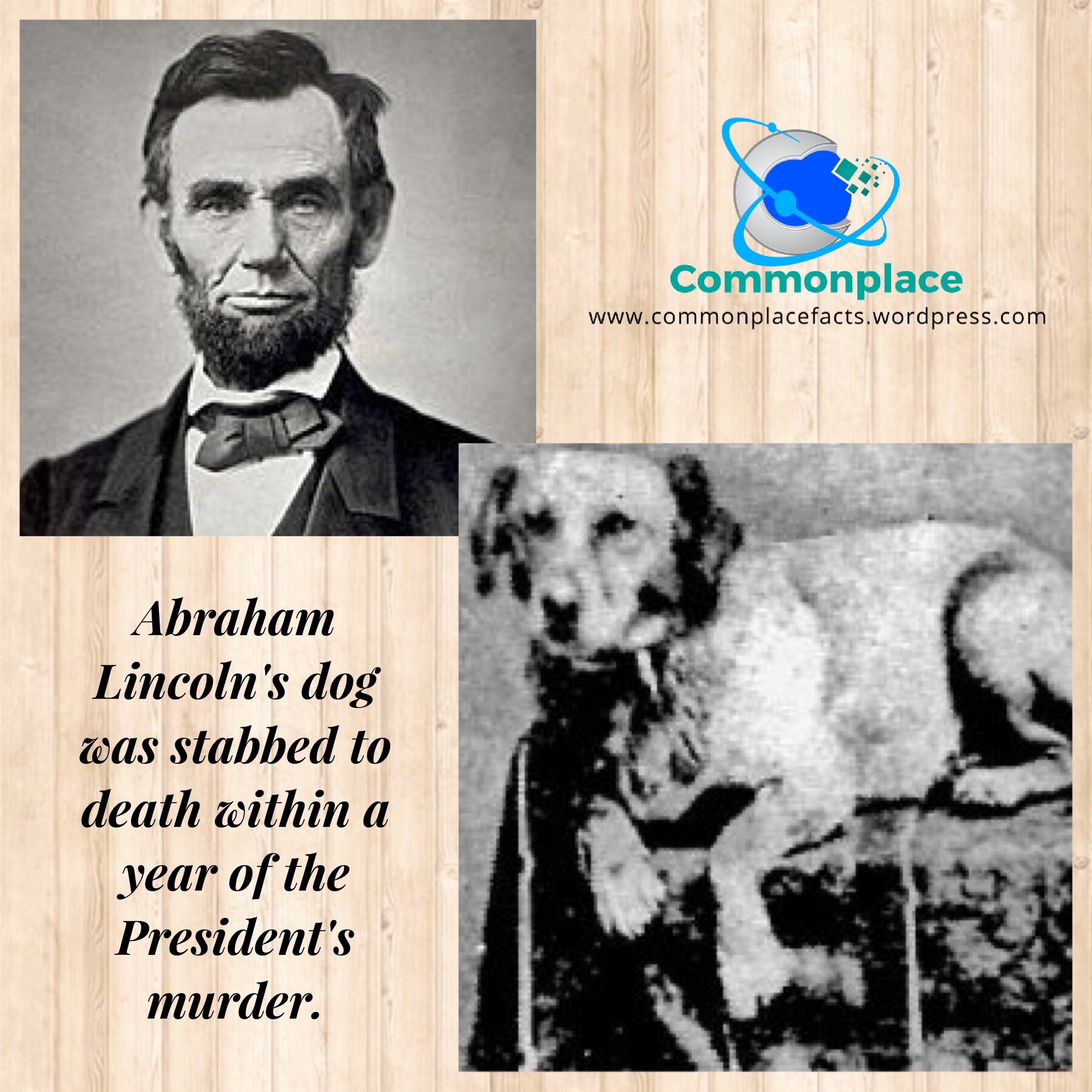 #president #presidents #pets #Lincoln #Fido #dogs #assassination #funfacts #death