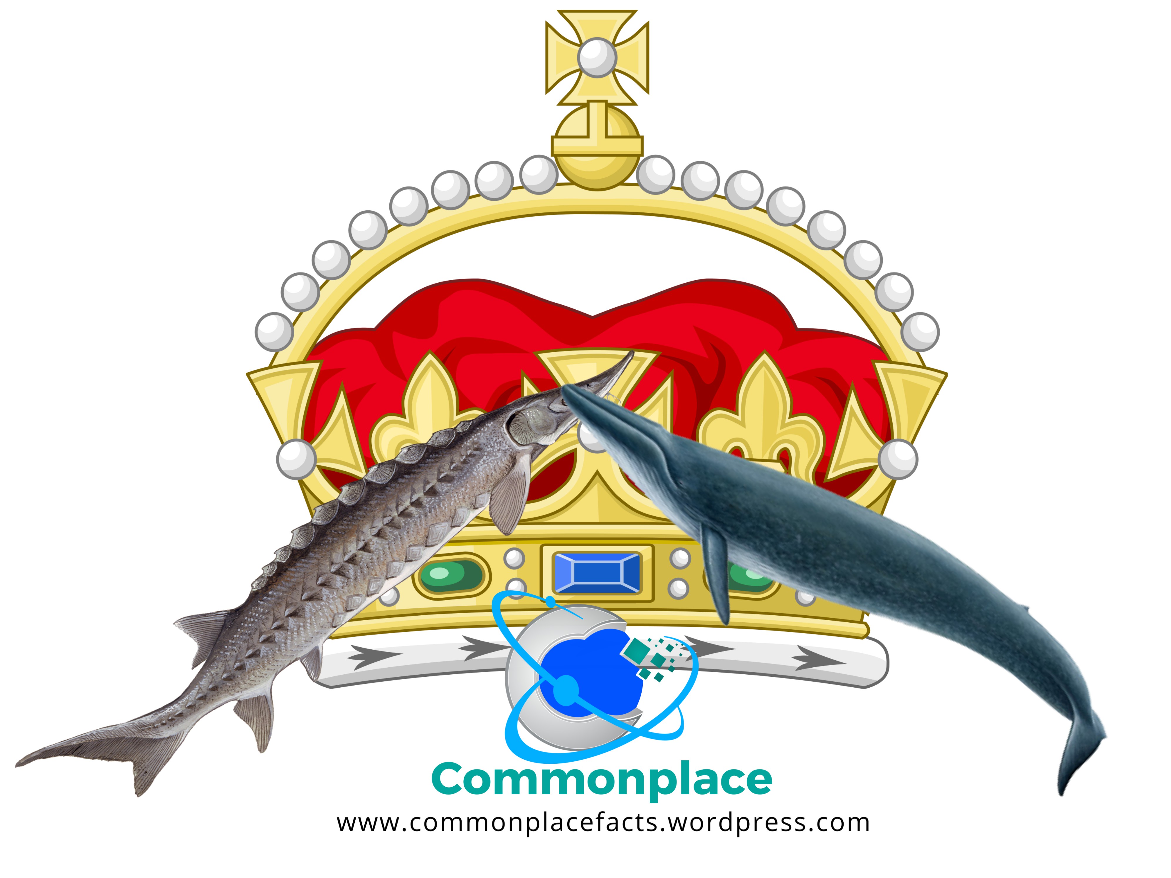 Under royal prerogative British king or queen owns all sturgeon and whales