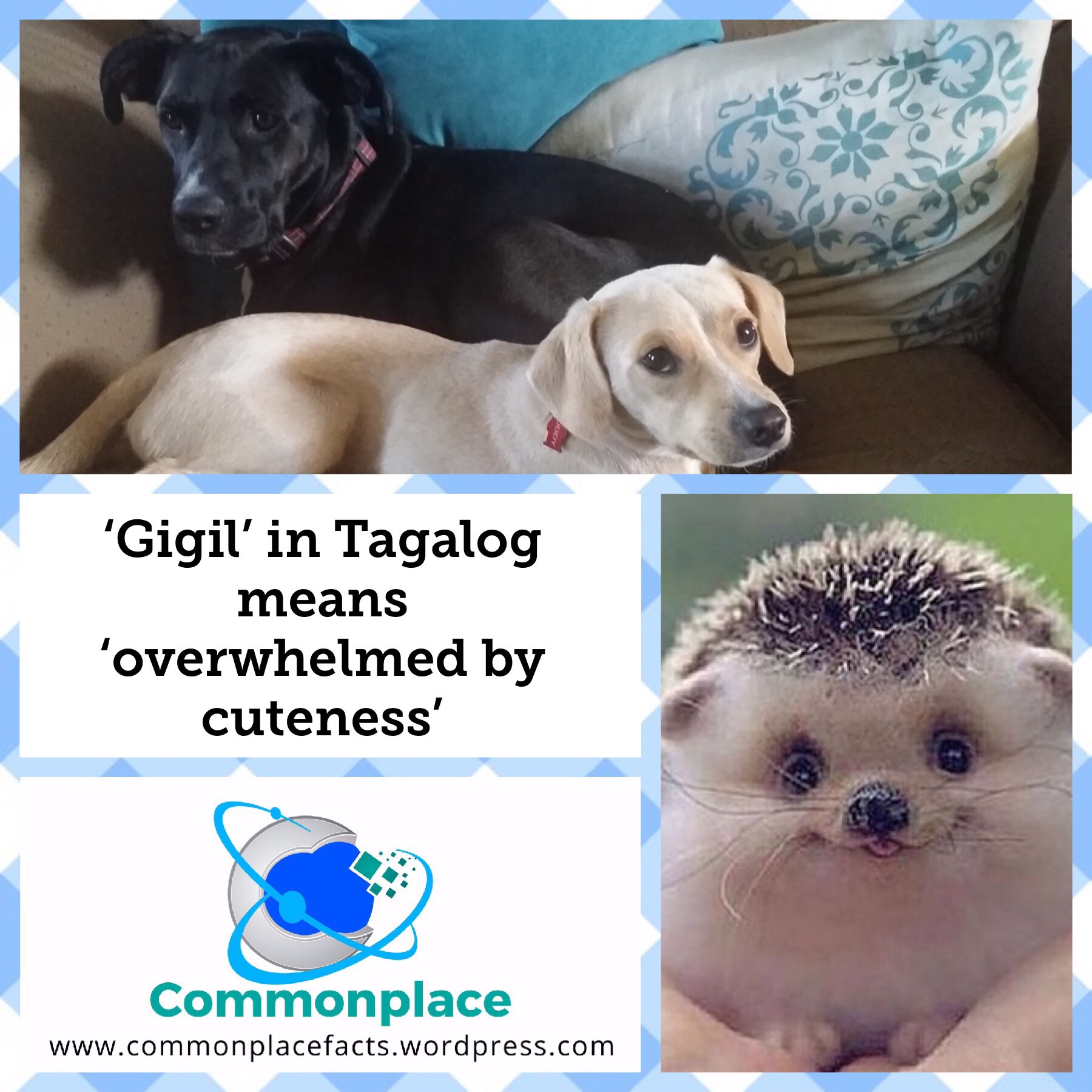 #gigil #tagalog #cuteness #cutenessoverload