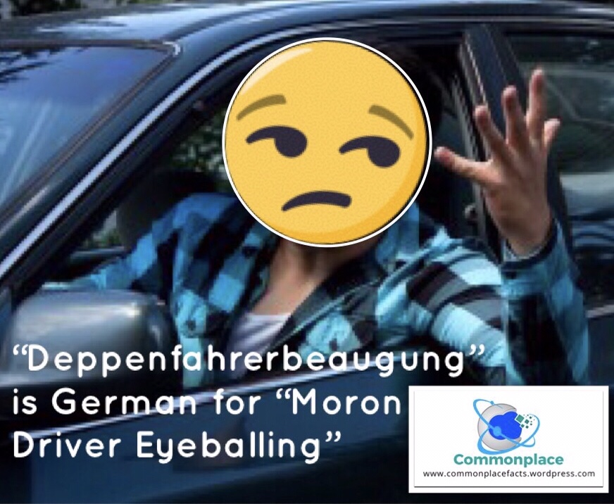 A Word for the Next Time You Drive