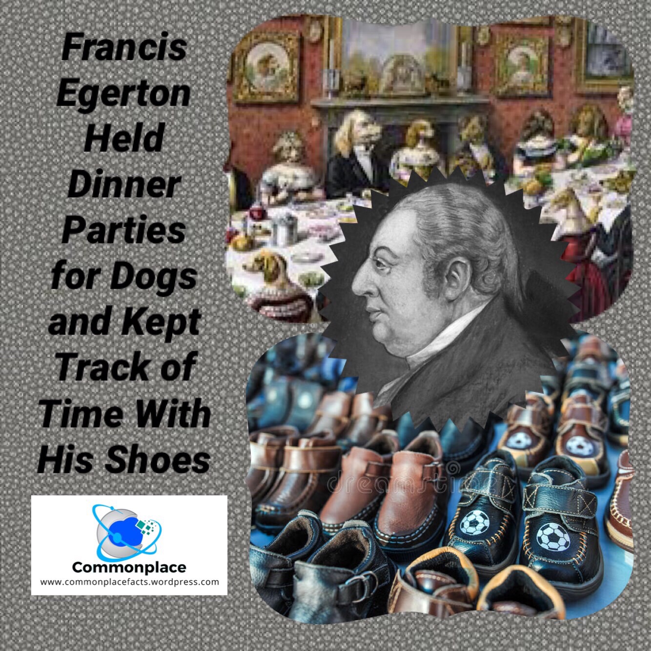 #eccentrics #eccentricity #facts #funfacts #dogs #shoes