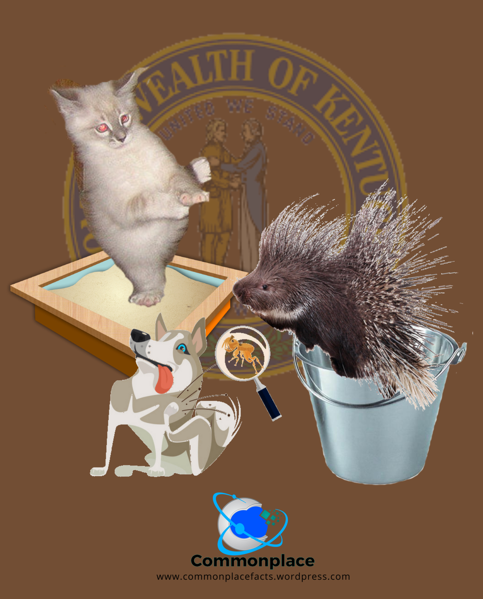 #funny #CourtCase #judges #humor