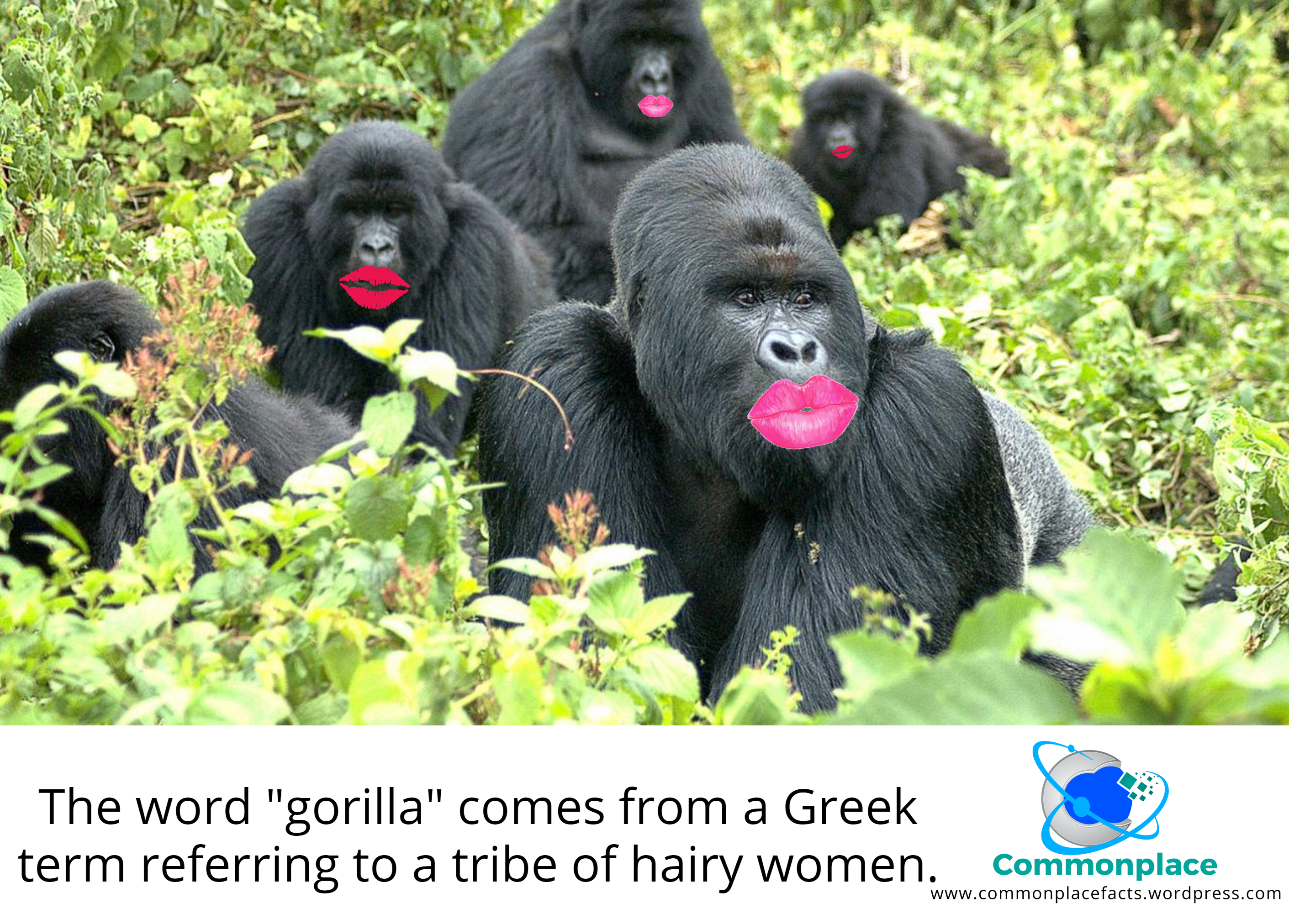 Big, Fat, Hairy Word Origin