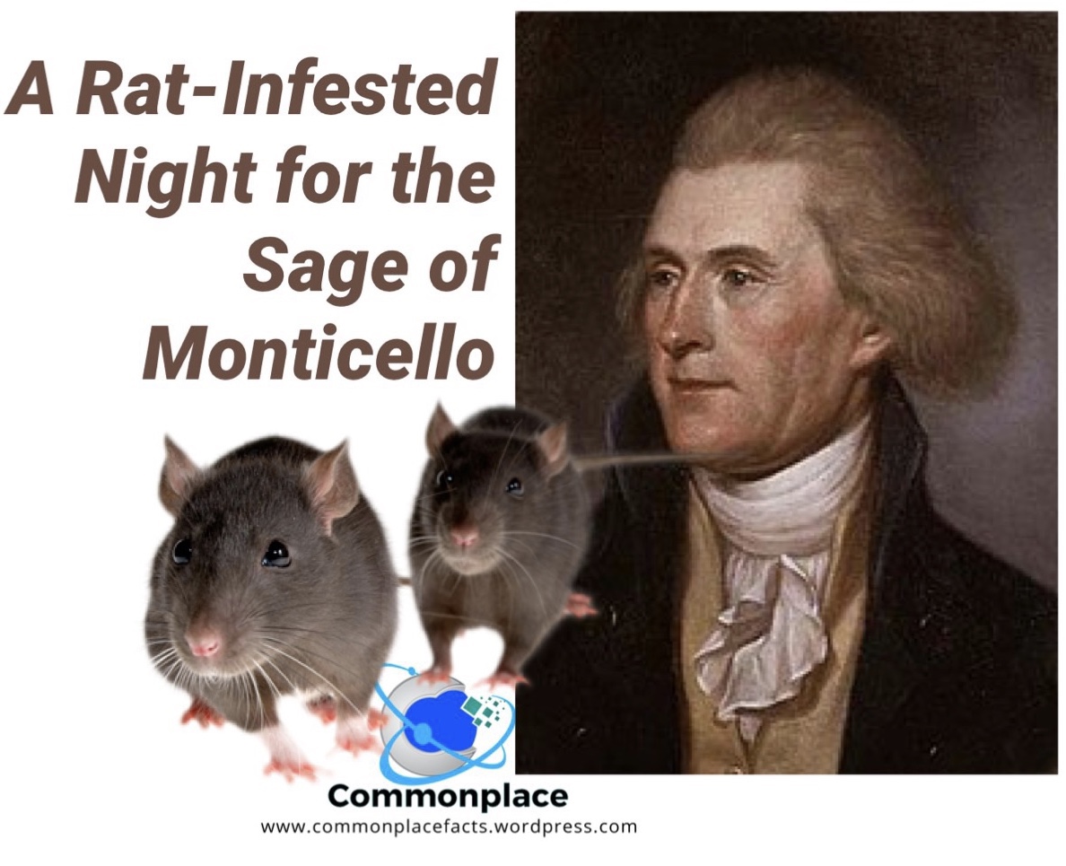 A rat-infested night for the Sage of Monticello