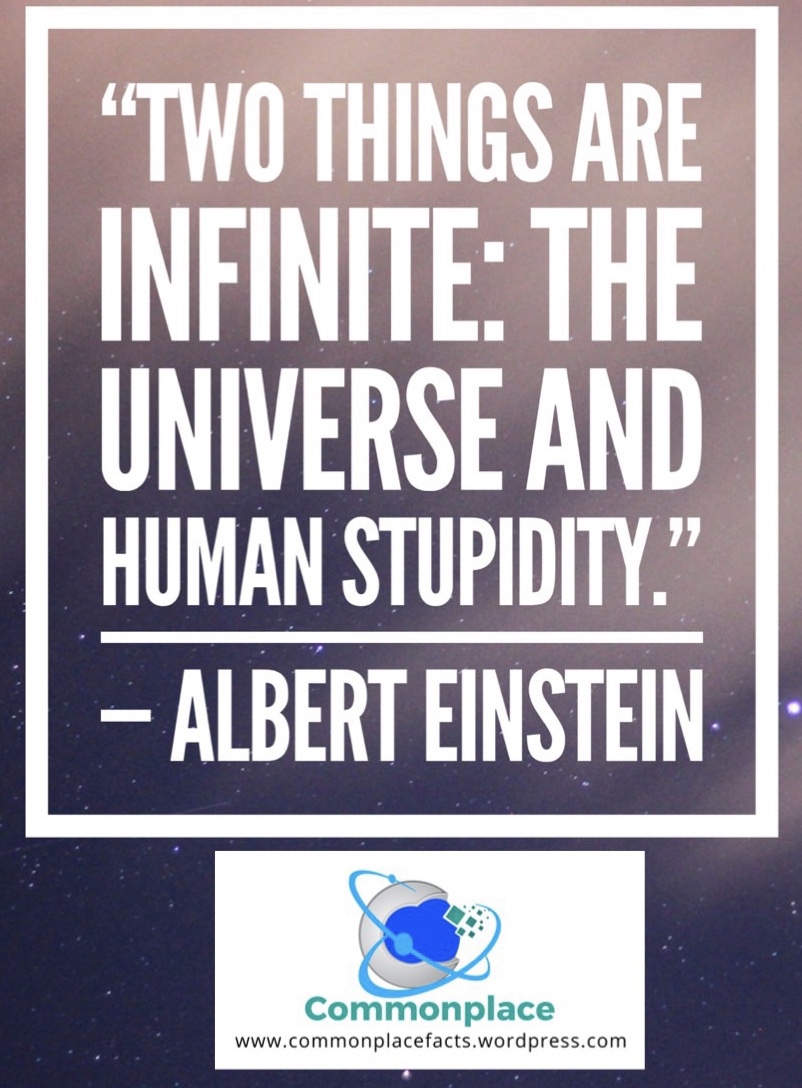 Einstein’s Concept of the Infinite