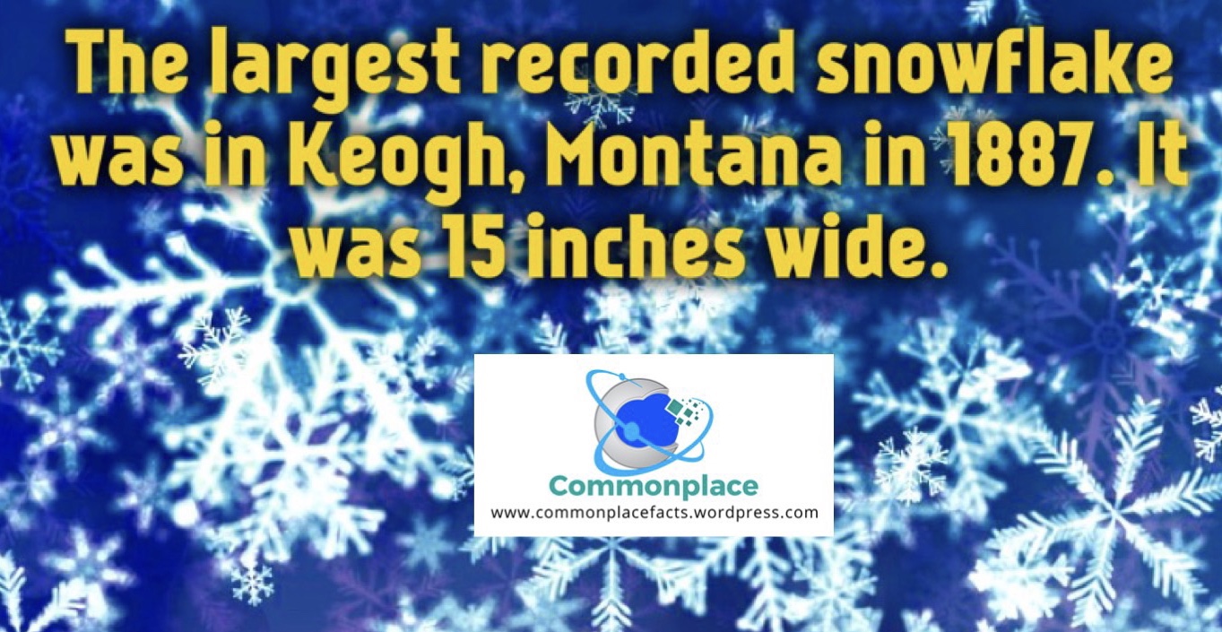 The Snowflake the Size of a Hubcap