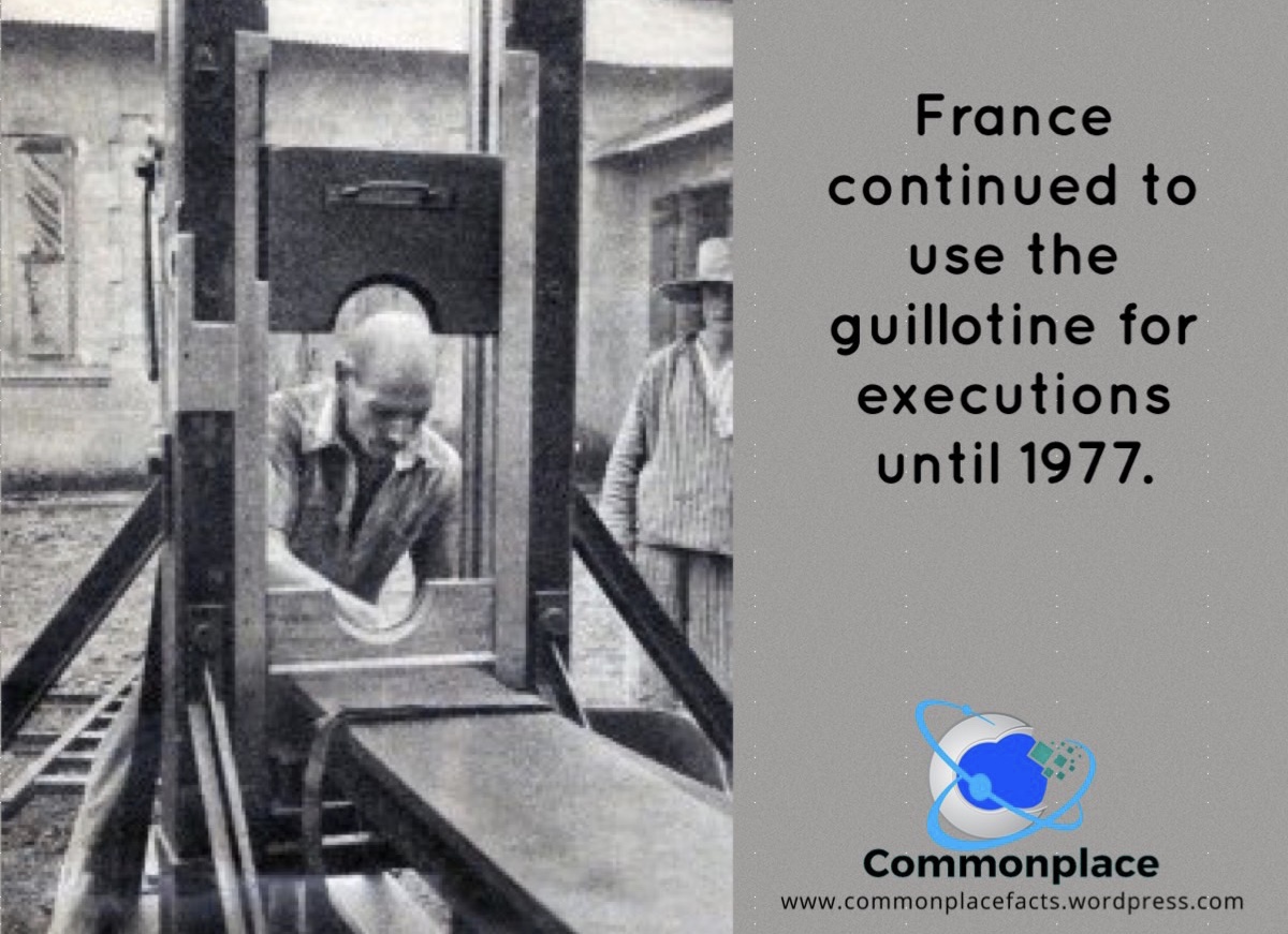 Losing Your Head Over France’s Not-Too-Distant Past