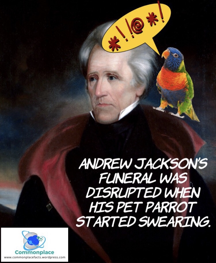 Old Hickory and the Profane Parrot