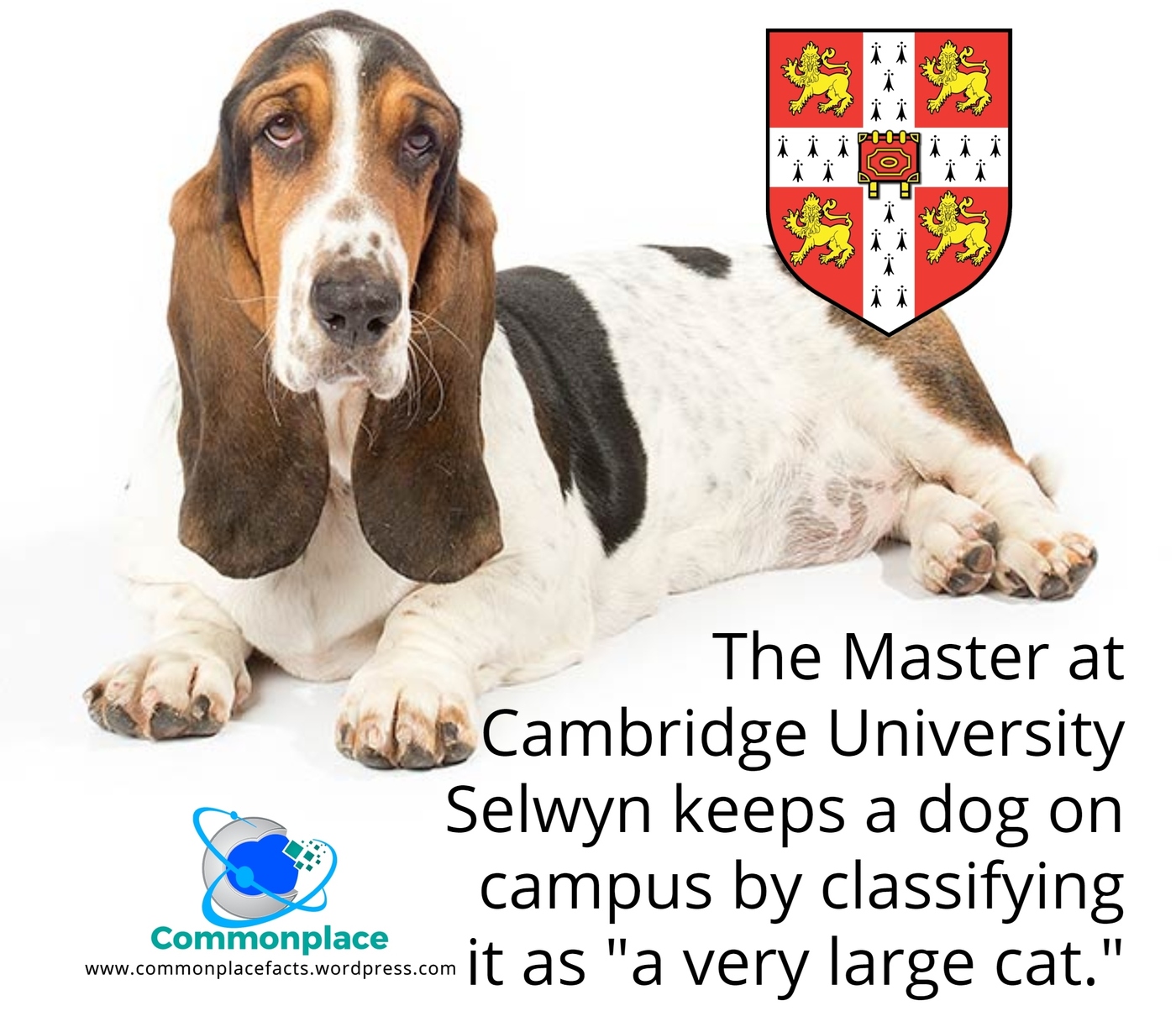 Hounding a Way Around a No-Dog Rule