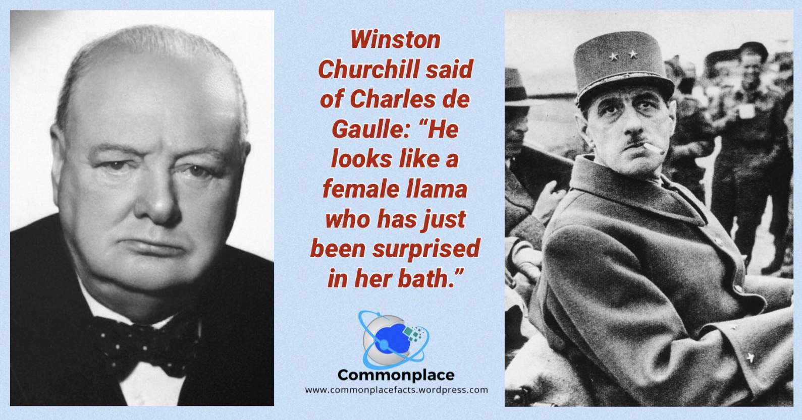 #Churchill #DeGaulle #llamas #insults #quotes