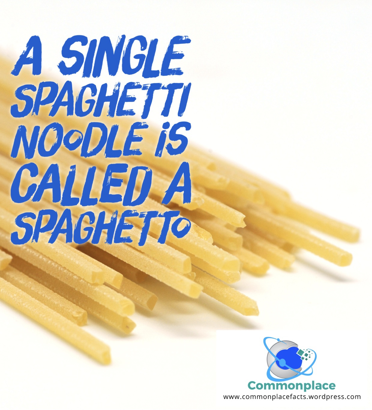 #food #spaghetti #spaghetto #funfacts