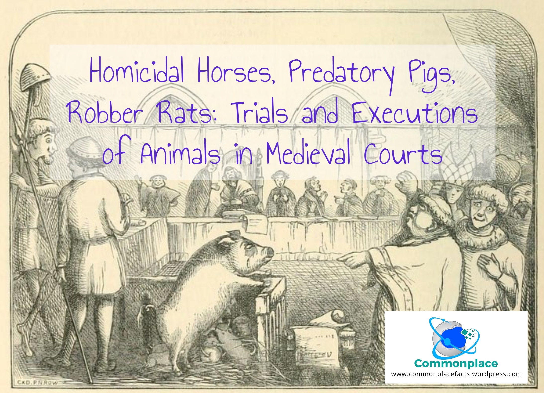 #animals #capitalpunishment #executions