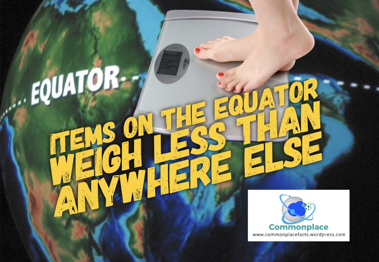 Easy Weight Loss By Tropical Travel 1 #equator #Poles #weight #weightloss #science #centrifugalforce