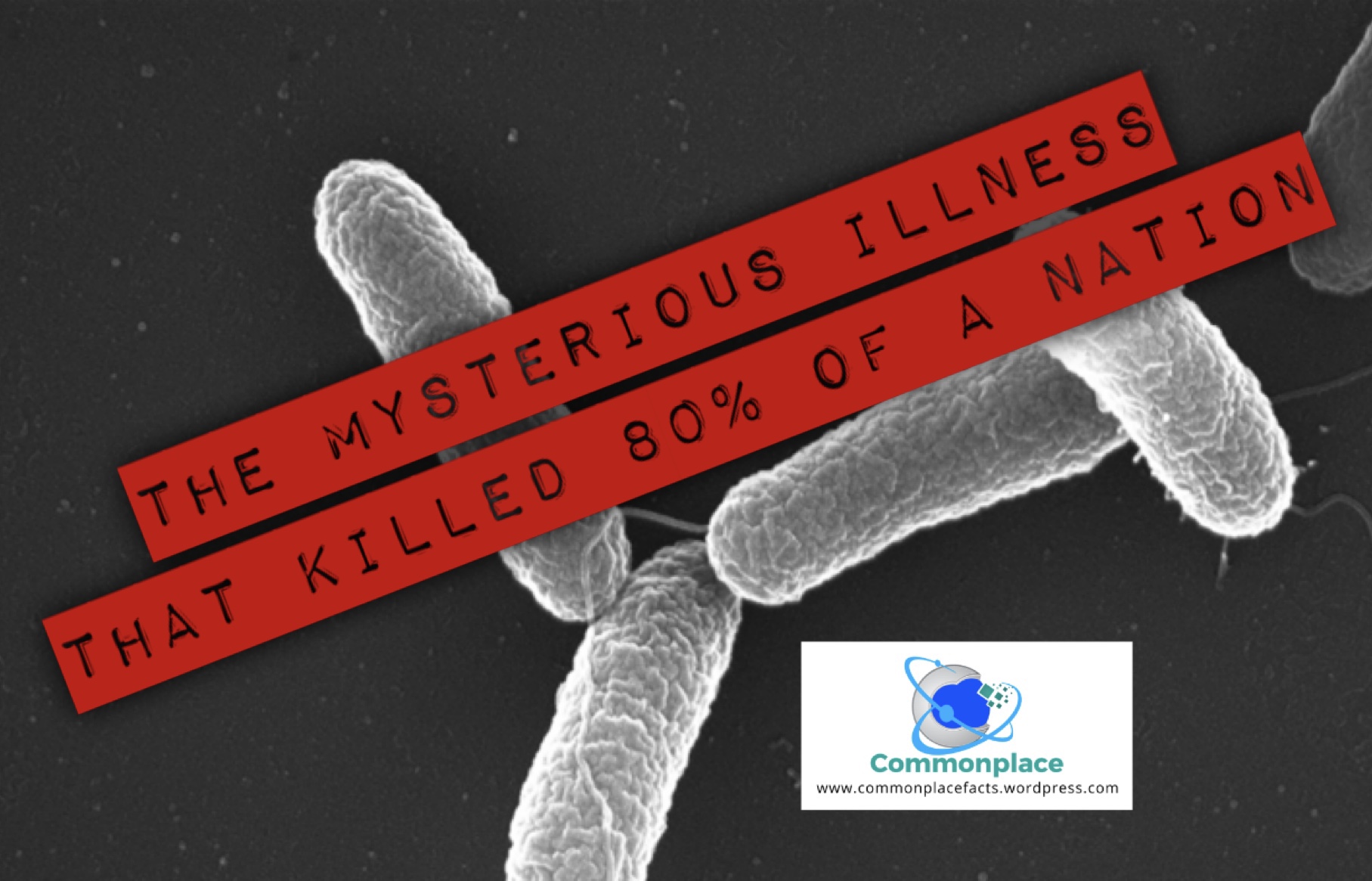 The Mysterious Illness That Killed 80% of a Nation 1 img 1661