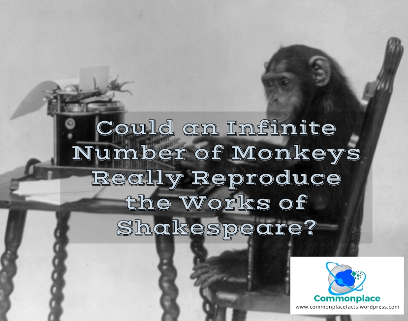 #InfiniteMonkeyTheorem #monkeys #infiniteMonkeys #Shakespeare