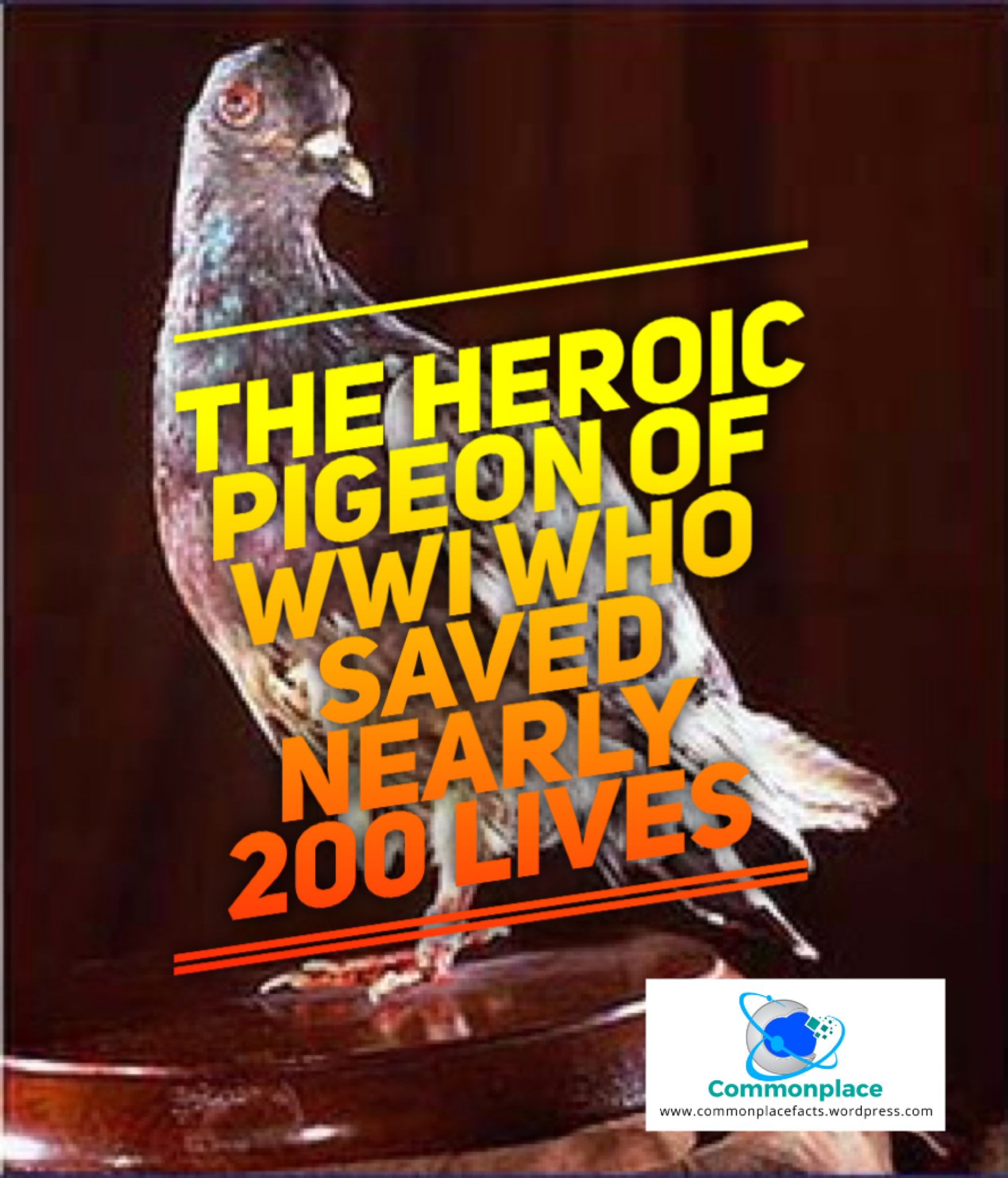 Cher Ami: The Heroic Pigeon of WWI Who Saved Nearly 200 Lives