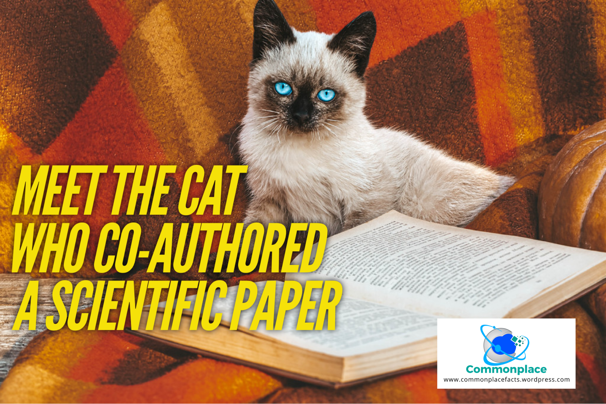 Meet F.D.C. Willard, the Cat Who Co-Authored a Scientific Paper