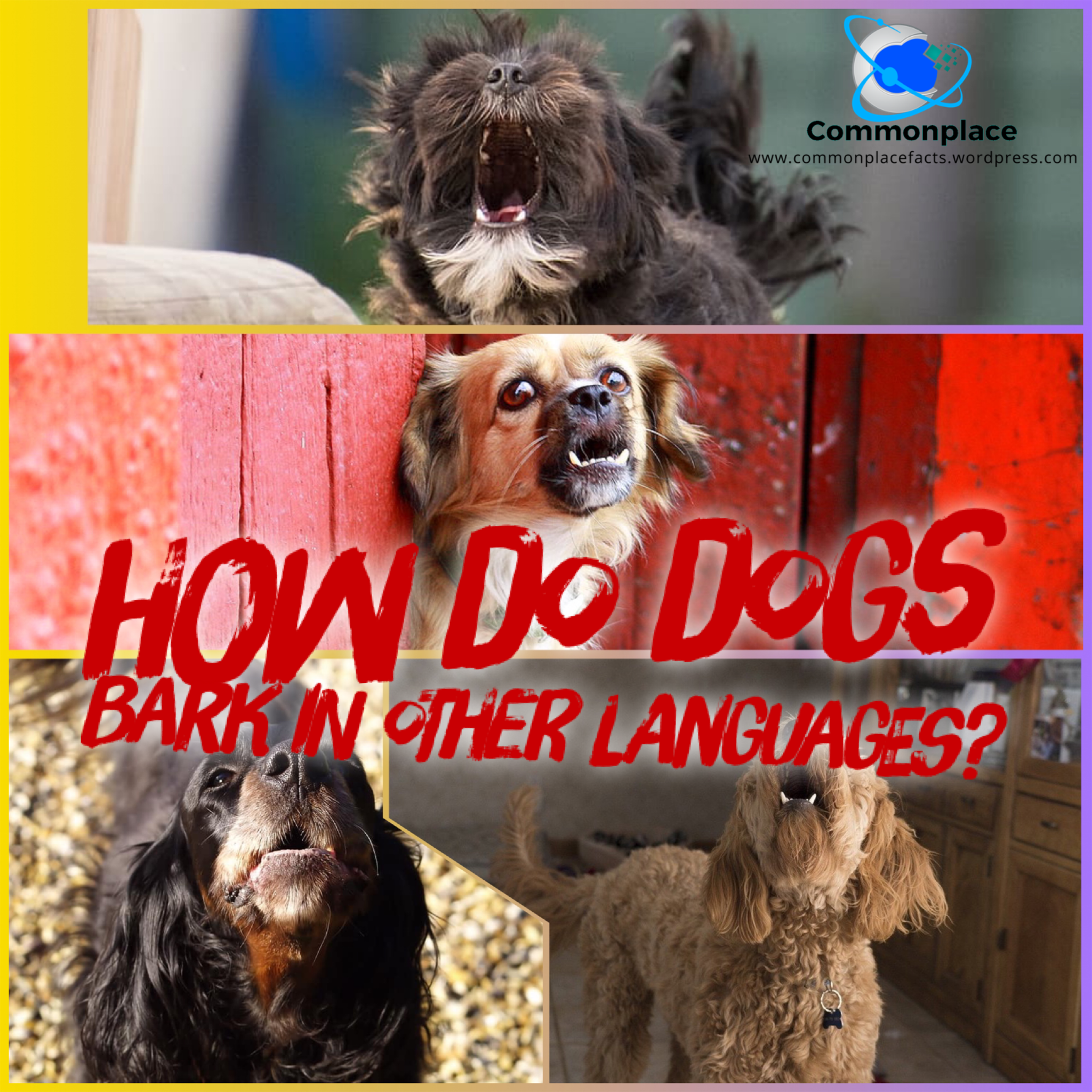 How Do Dogs Bark in Other Languages?