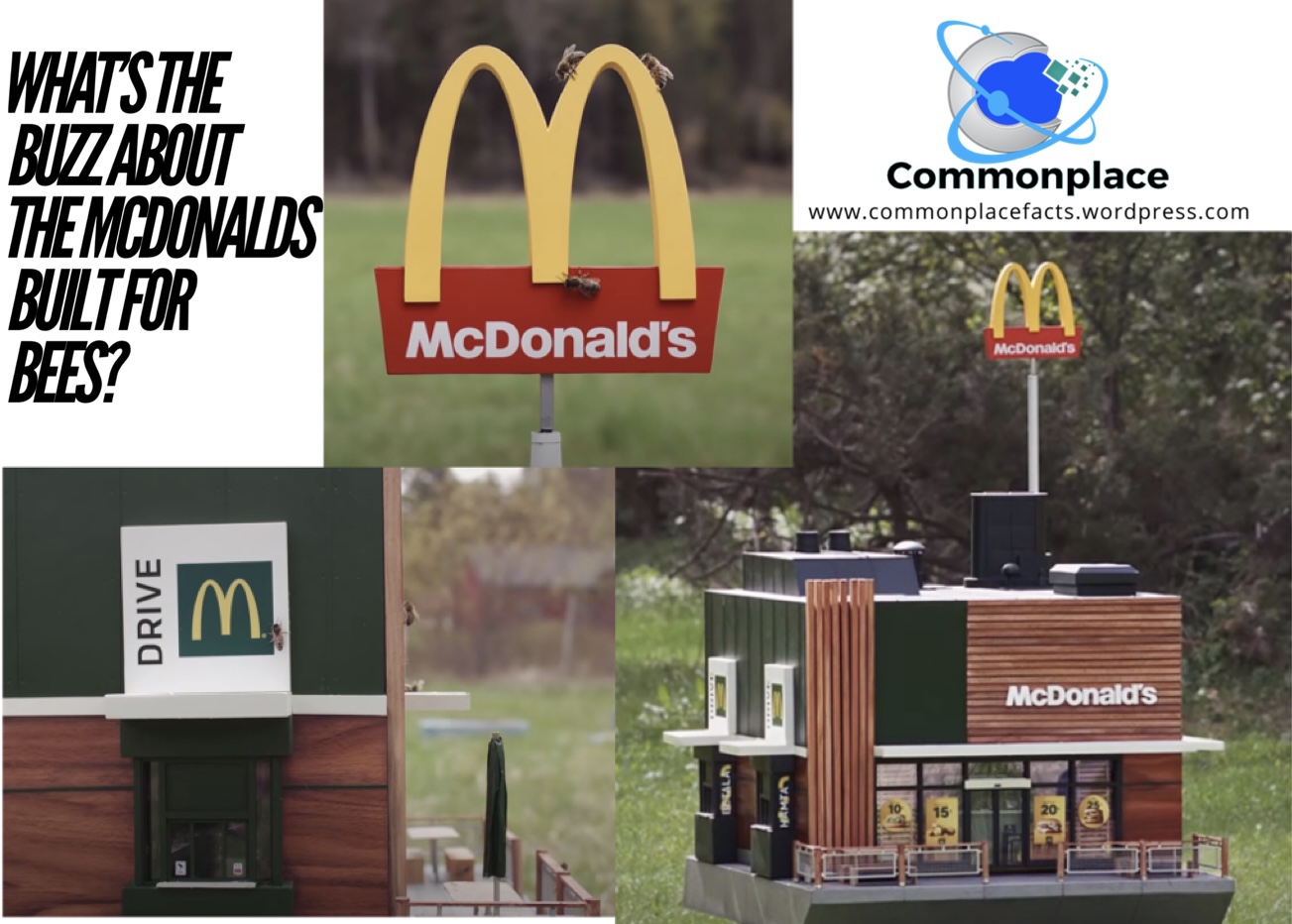 #McDonalds #bees #McHive
