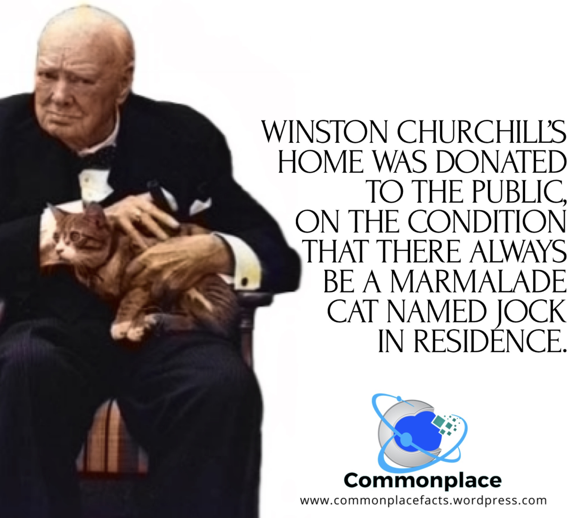 Churchill’s Touching Bequest for a Marmalade Cat