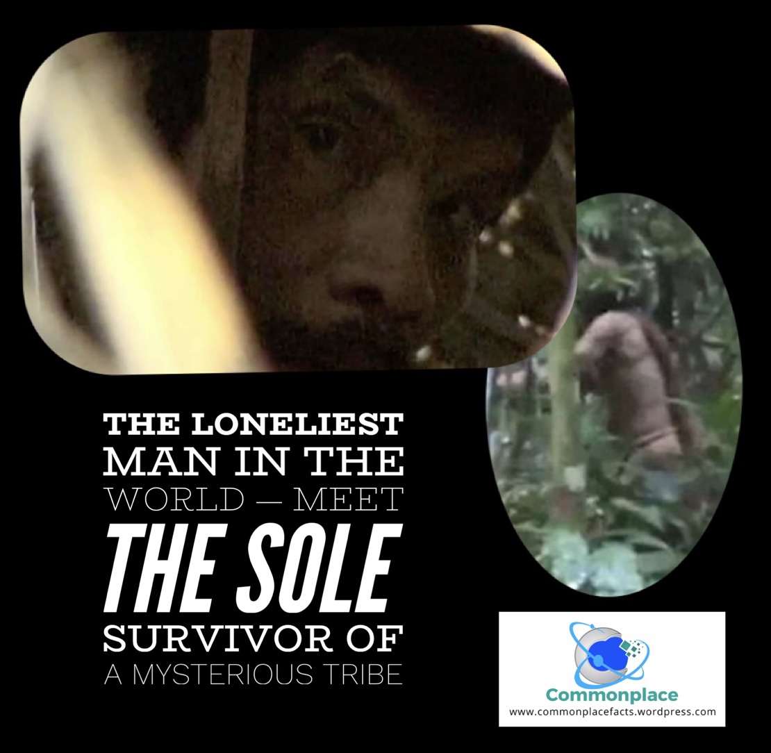 The Loneliest Man in the World — Meet the Sole Survivor of a Mysterious Tribe 1 the loneliest man in the world — meet the sole survivor of a mysterious tribe