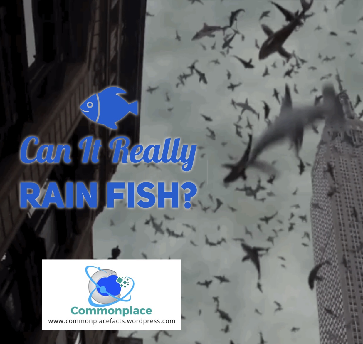 Can It Really Rain Fish? 1 can it really rain fish