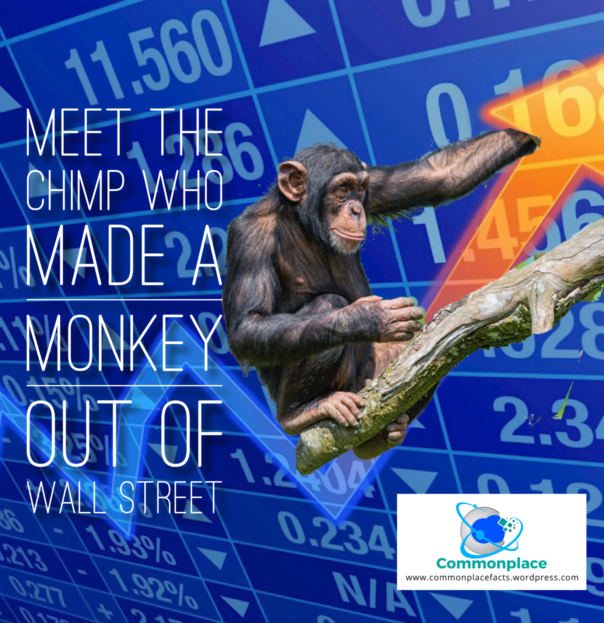 Meet the Chimp Who Made a Monkey Out of Wall Street