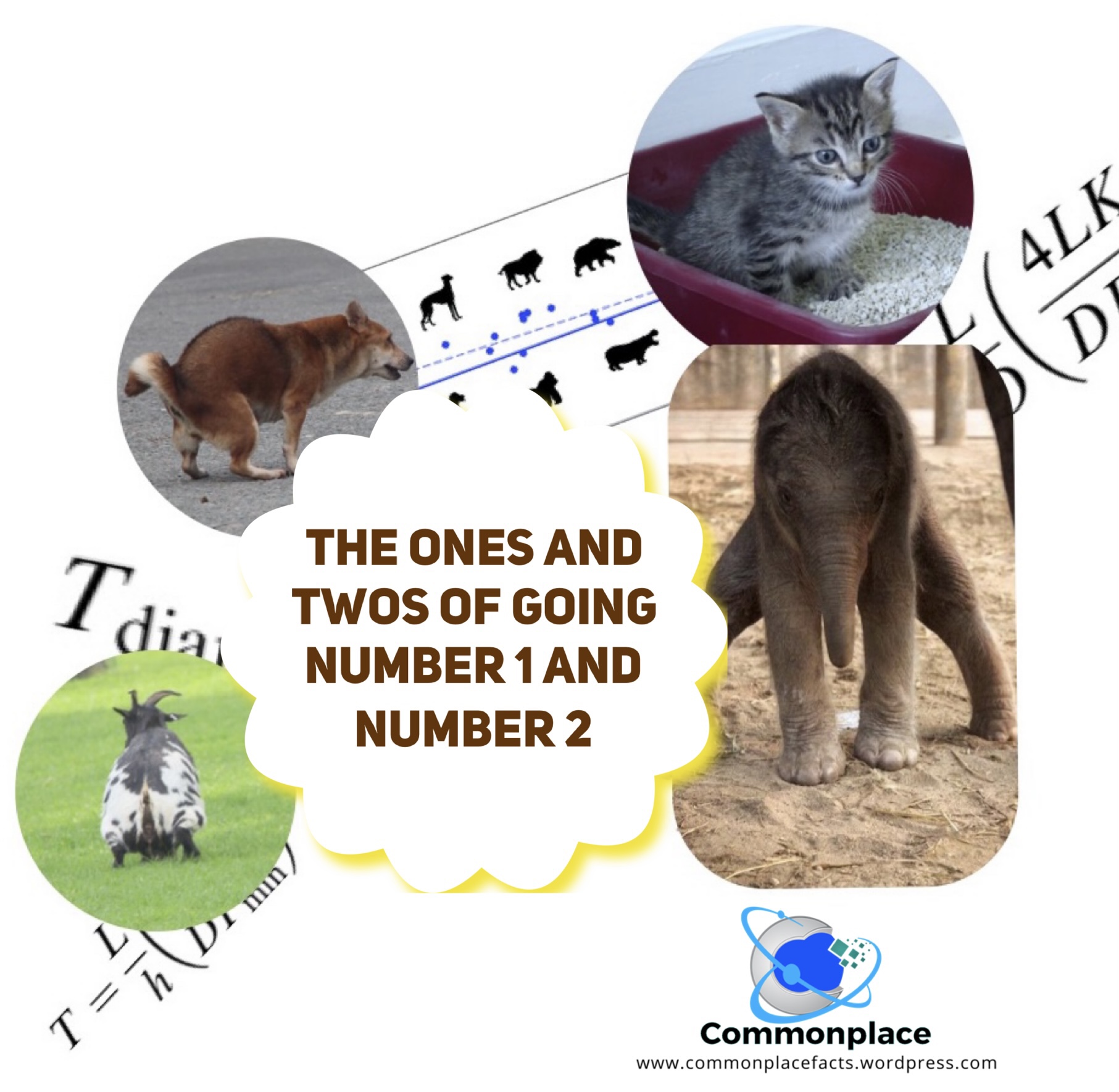 The Ones and Twos of Going Number 1 and Number 2 1 the ones and twos of going number 1 and number 2