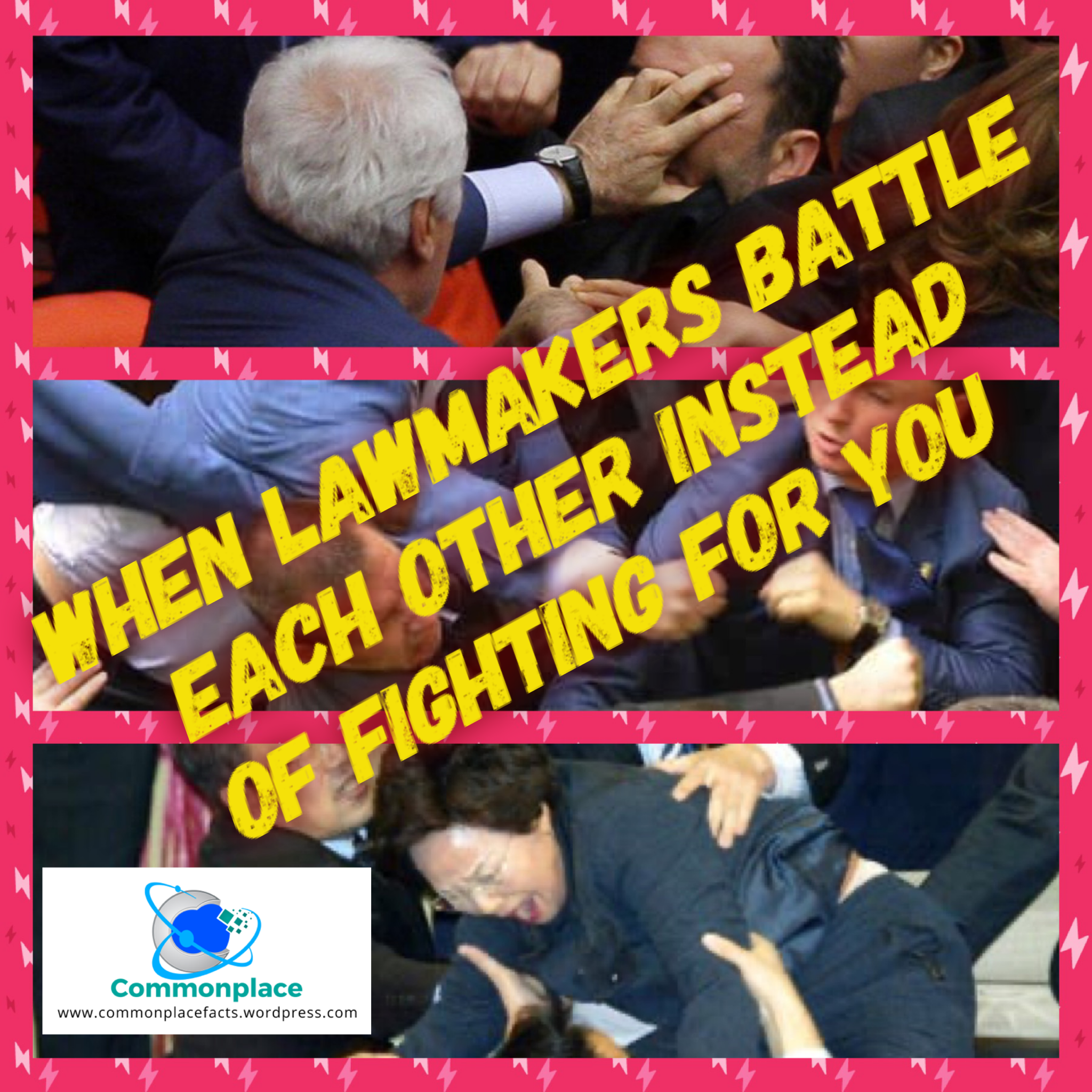 parliamentfights.wordpress.com