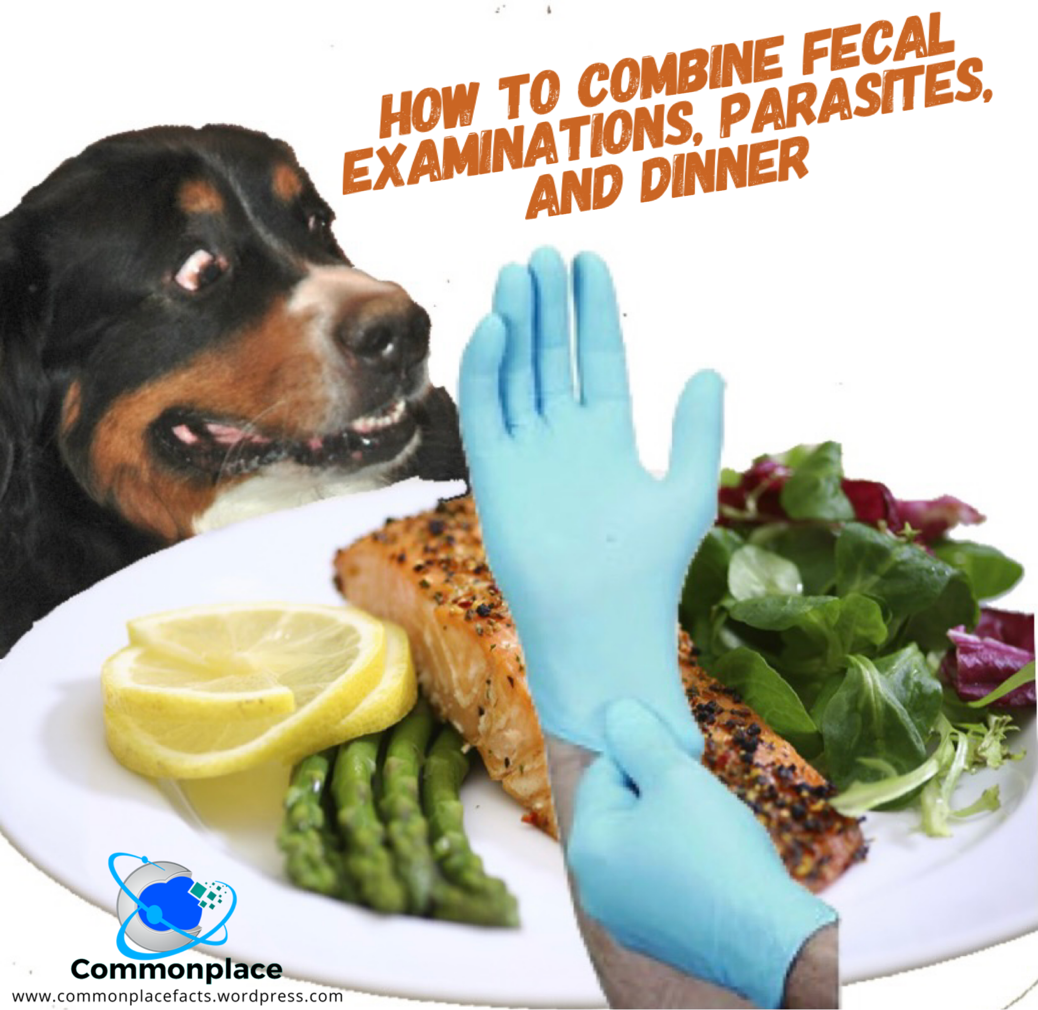 How to Combine Fecal Examinations, Parasites, and Dinner