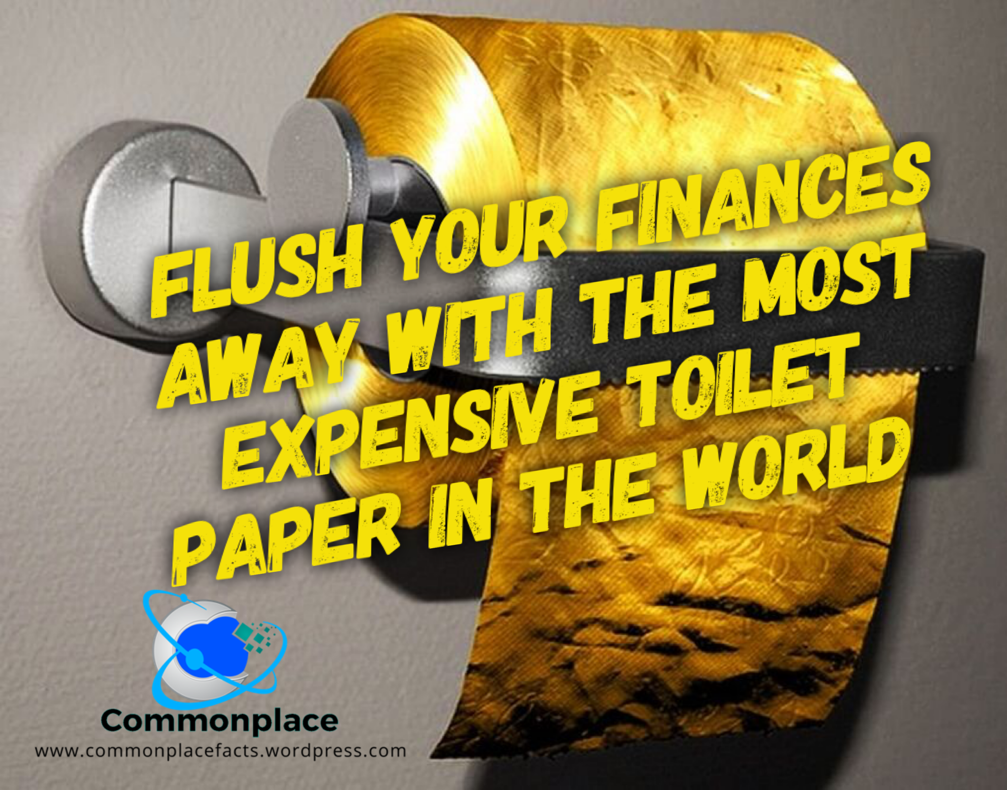 Flush Your Finances Away With the Most Expensive Toilet Paper in the World